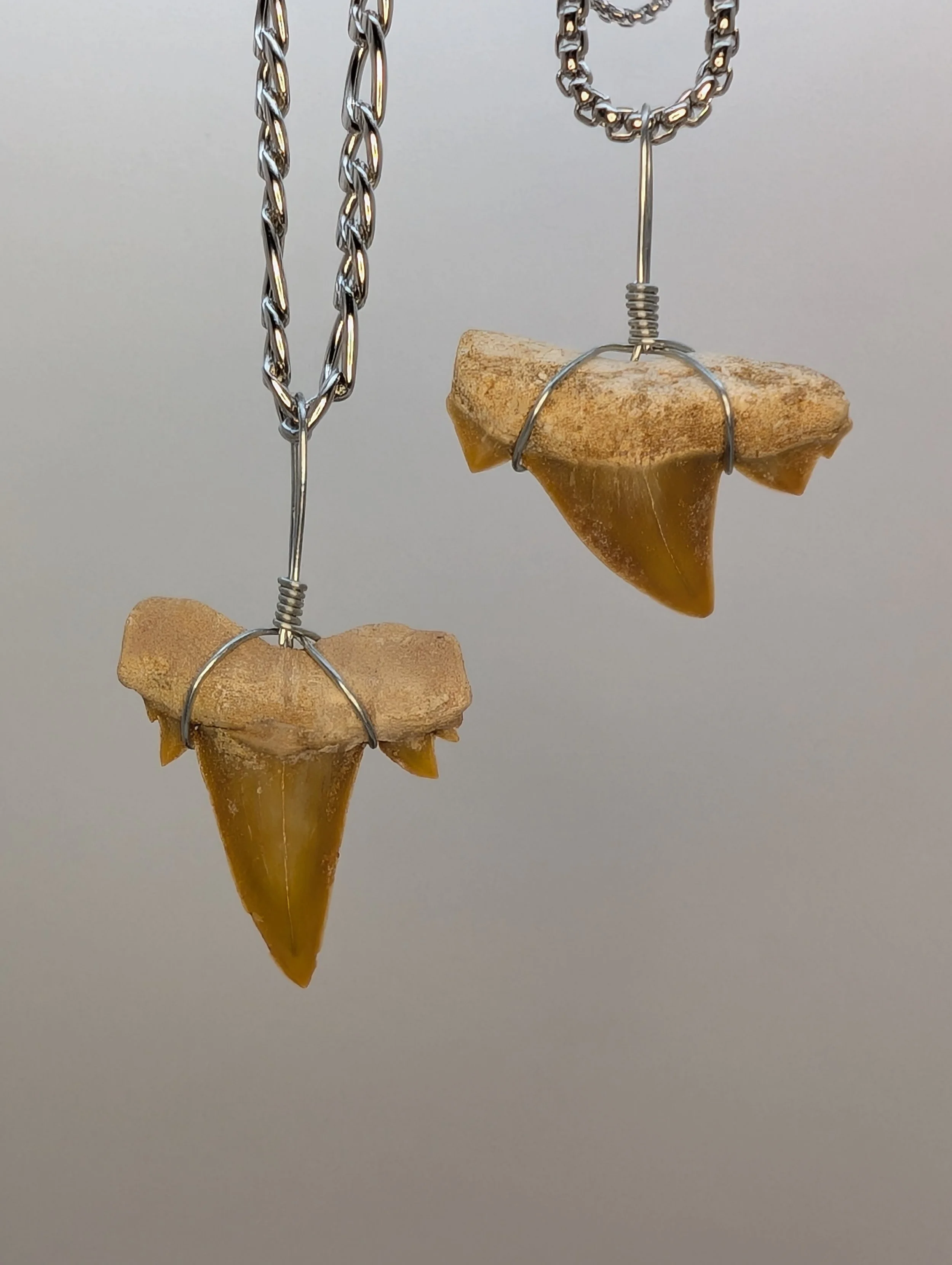 Wire-Wrapped Shark Tooth Necklace