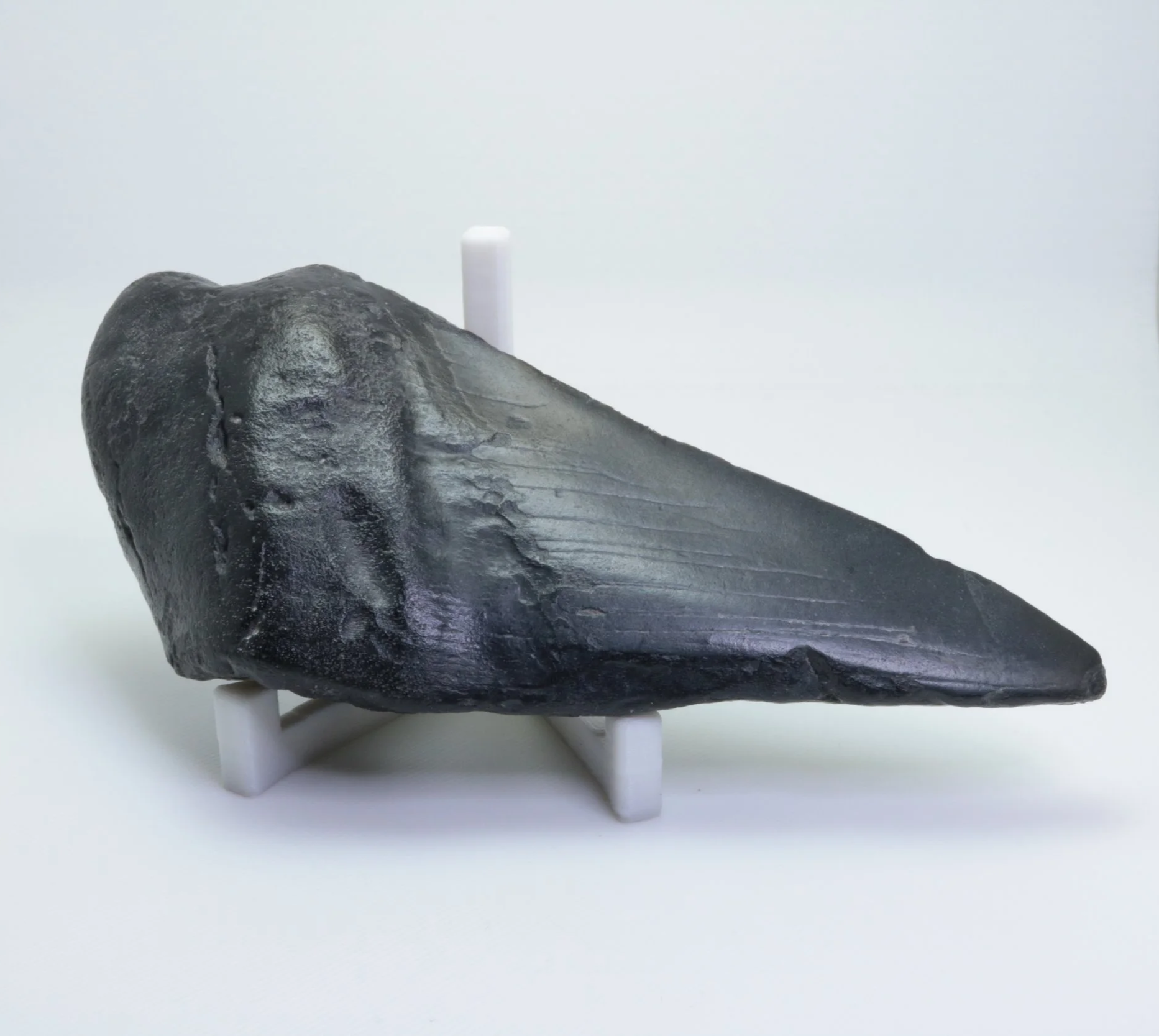 Heartbreaker Megalodon - 4.56"
