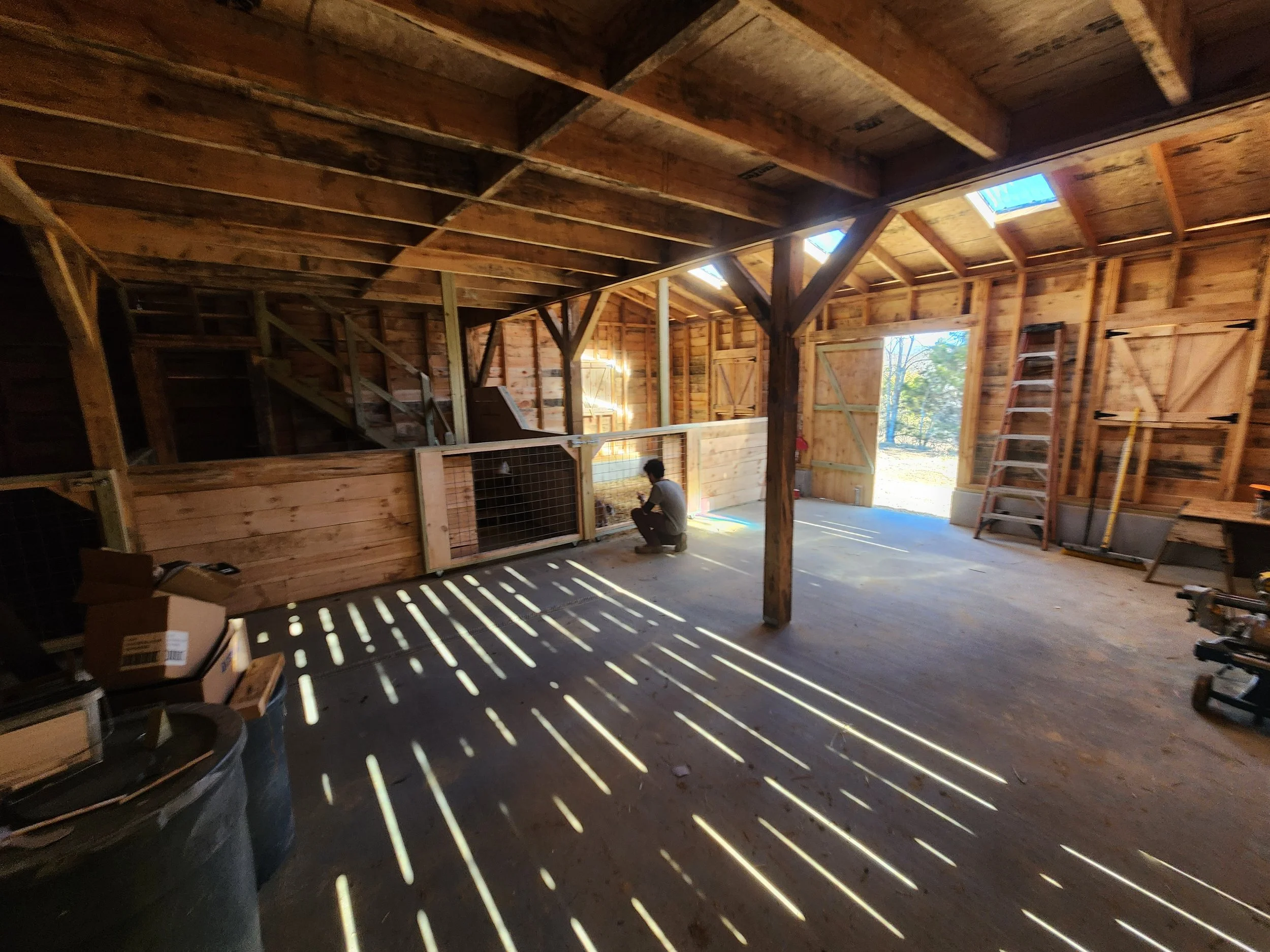 barn cesar skipwater.jpg