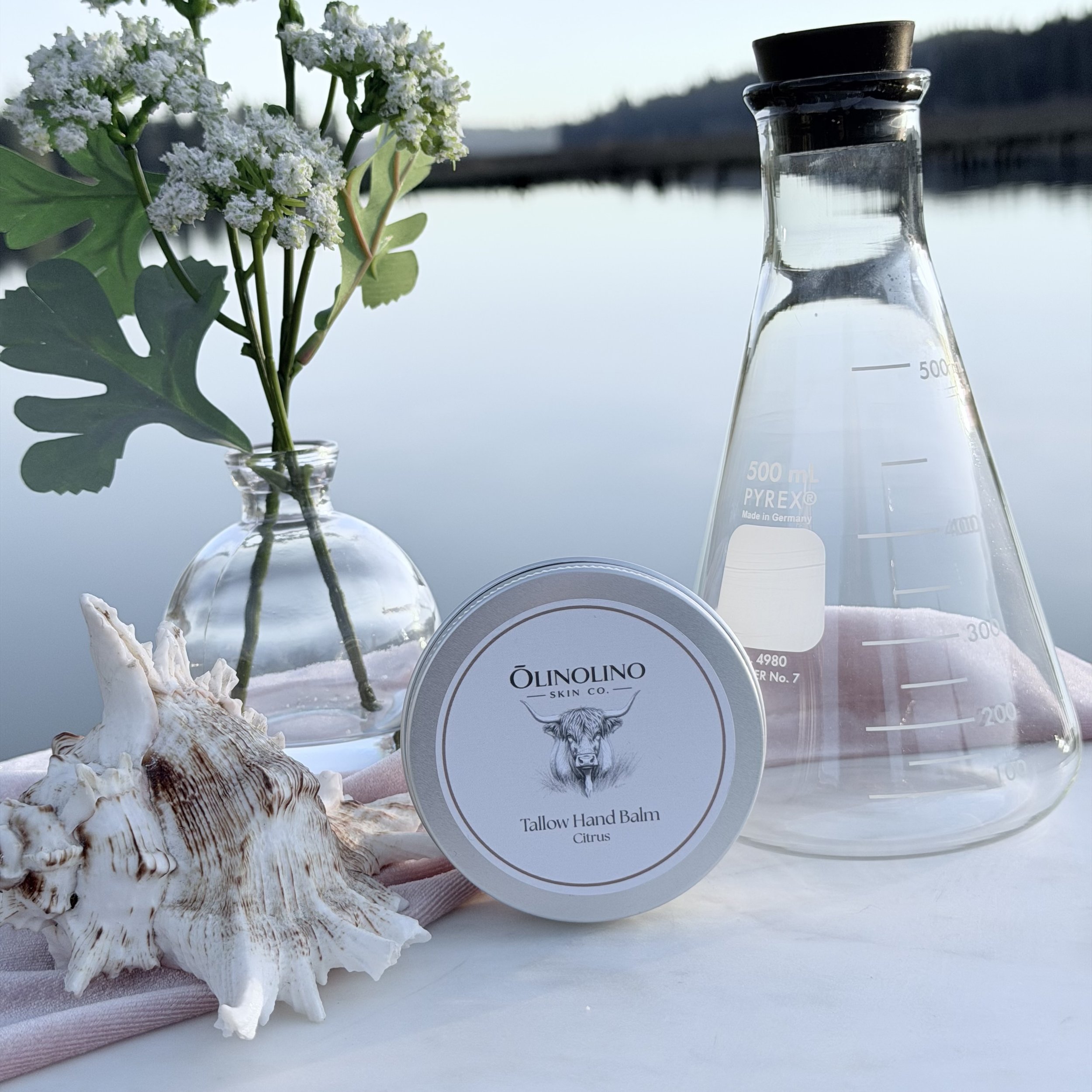 Tallow Hand Balm citrus 2.jpeg