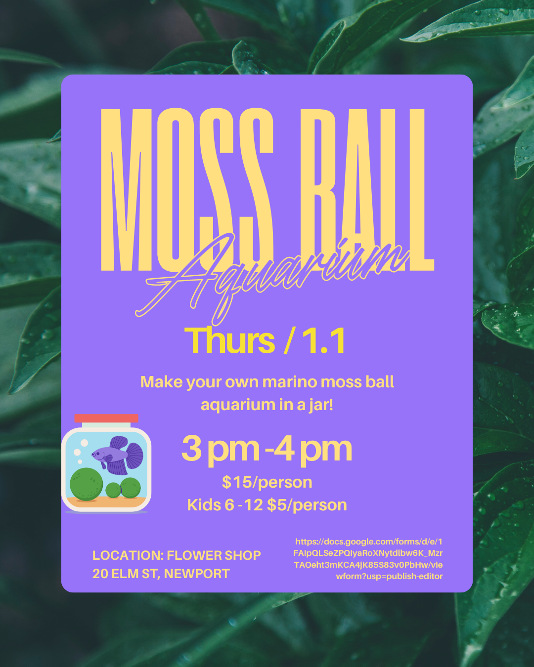 Make a Moss Ball Aquarium