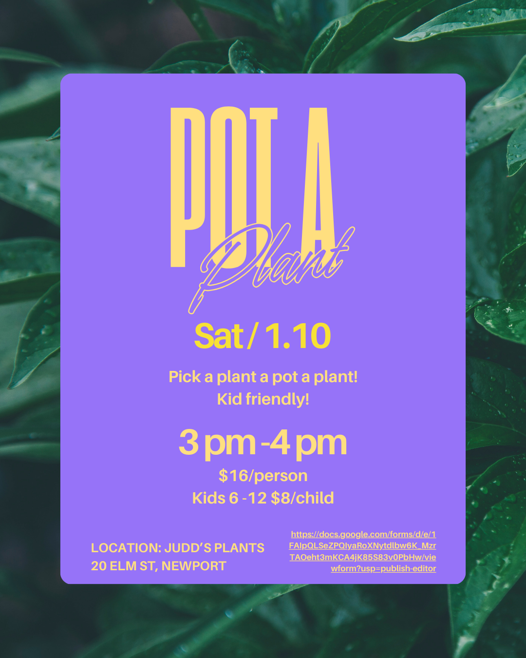 Pot a Plant Event