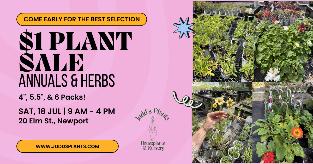 $1 Plant Sale