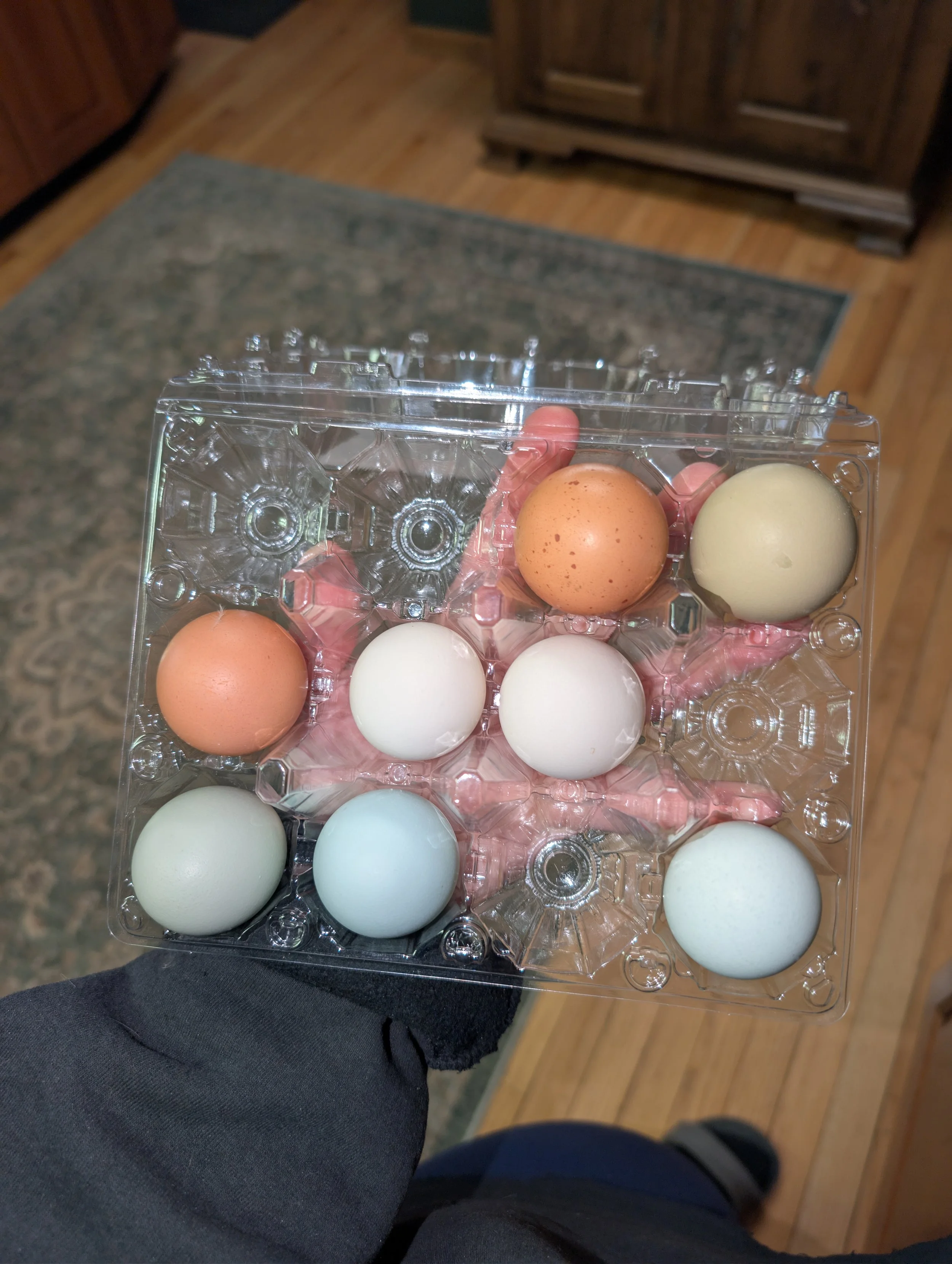 PXL_20251212_185916953 (1).jpg