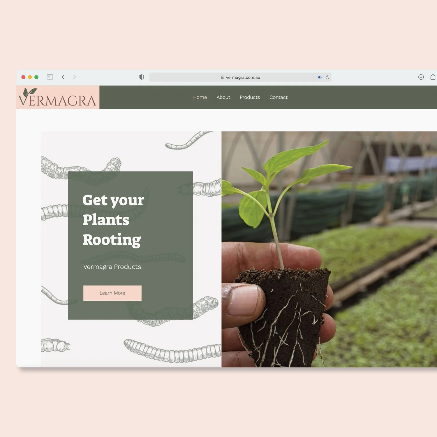 Website