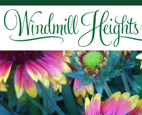 November 18, 2026 - New and Improved Plants Every Gardener Should Try