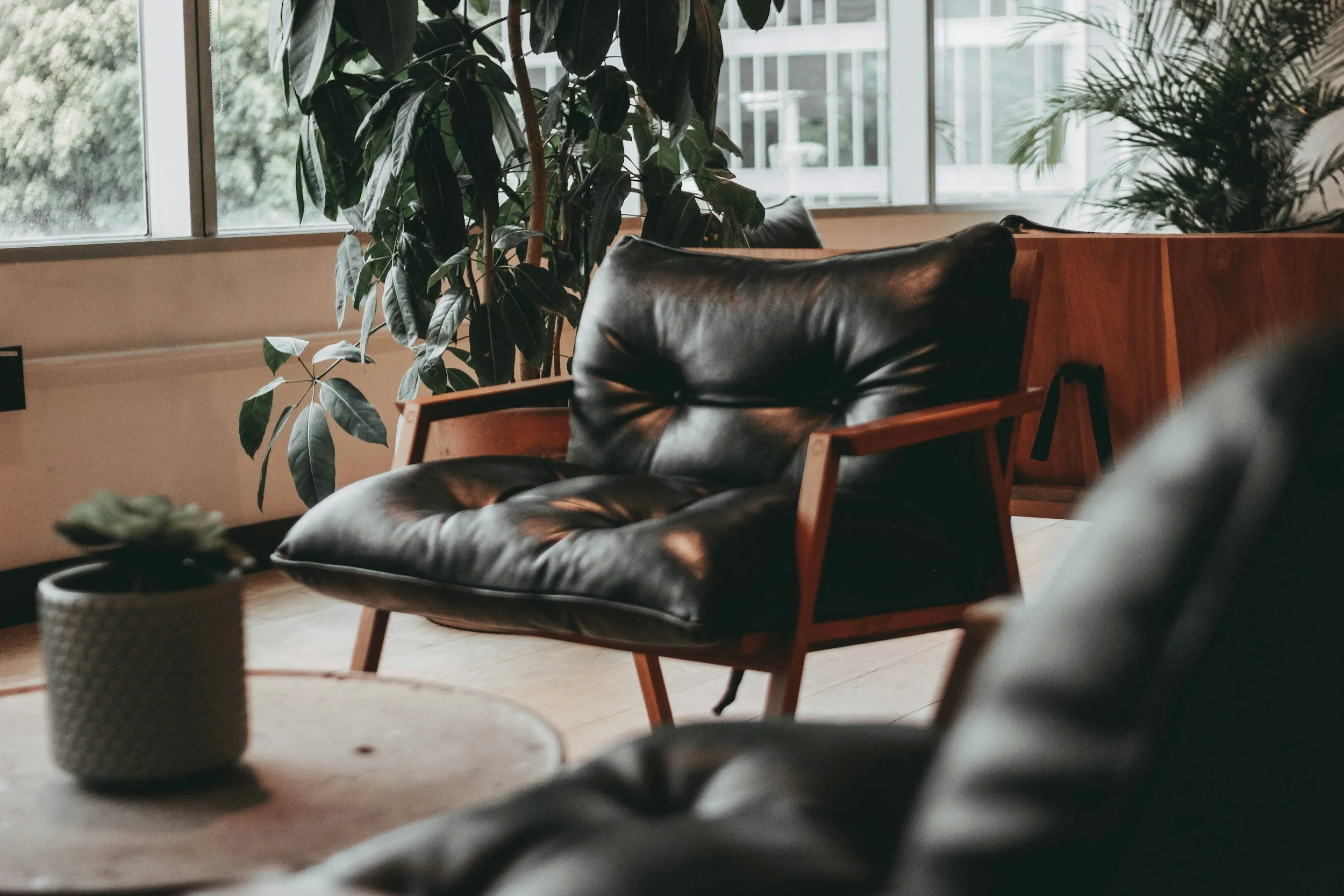 A cozy living room corner with a black leather cushioned chair, surrounded by large green indoor plants near windows that let in natural light.