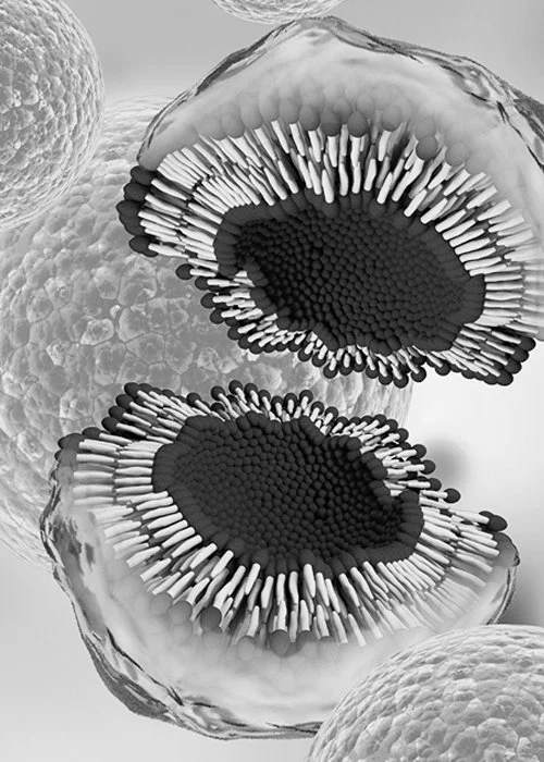 exosome microscopic bubbles