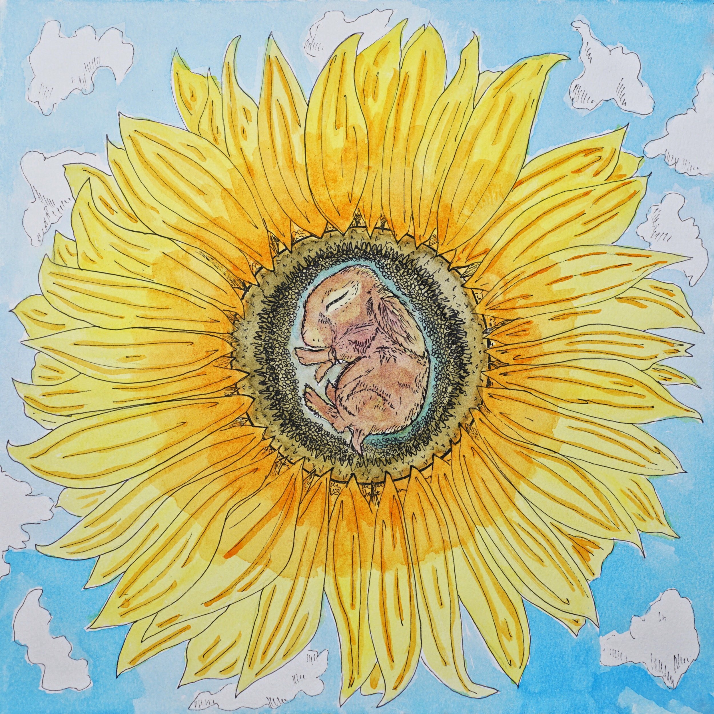 sunflower rabbit edited.jpg