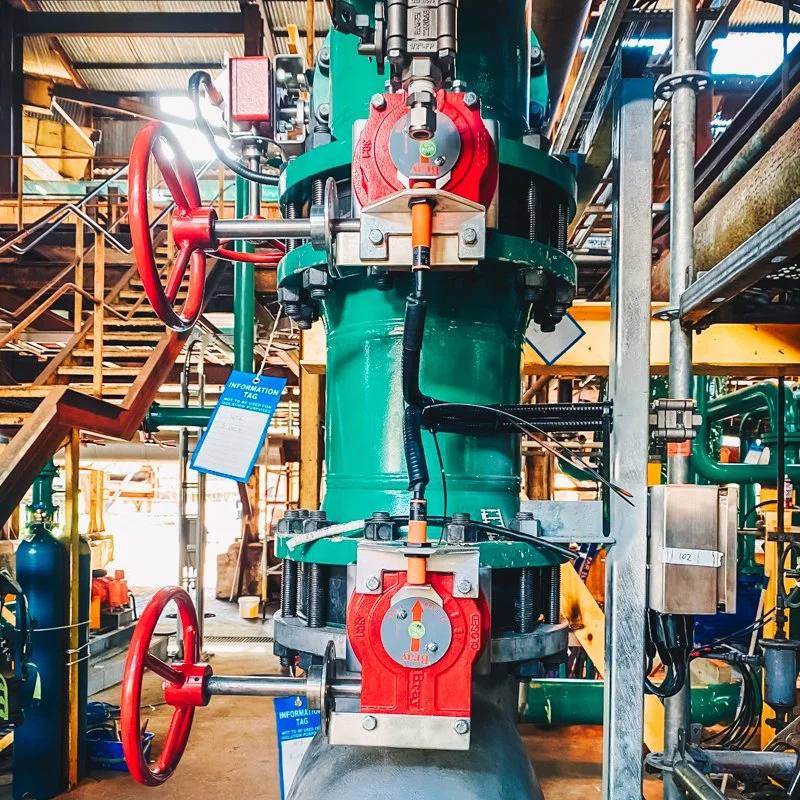 Massive filtration system 