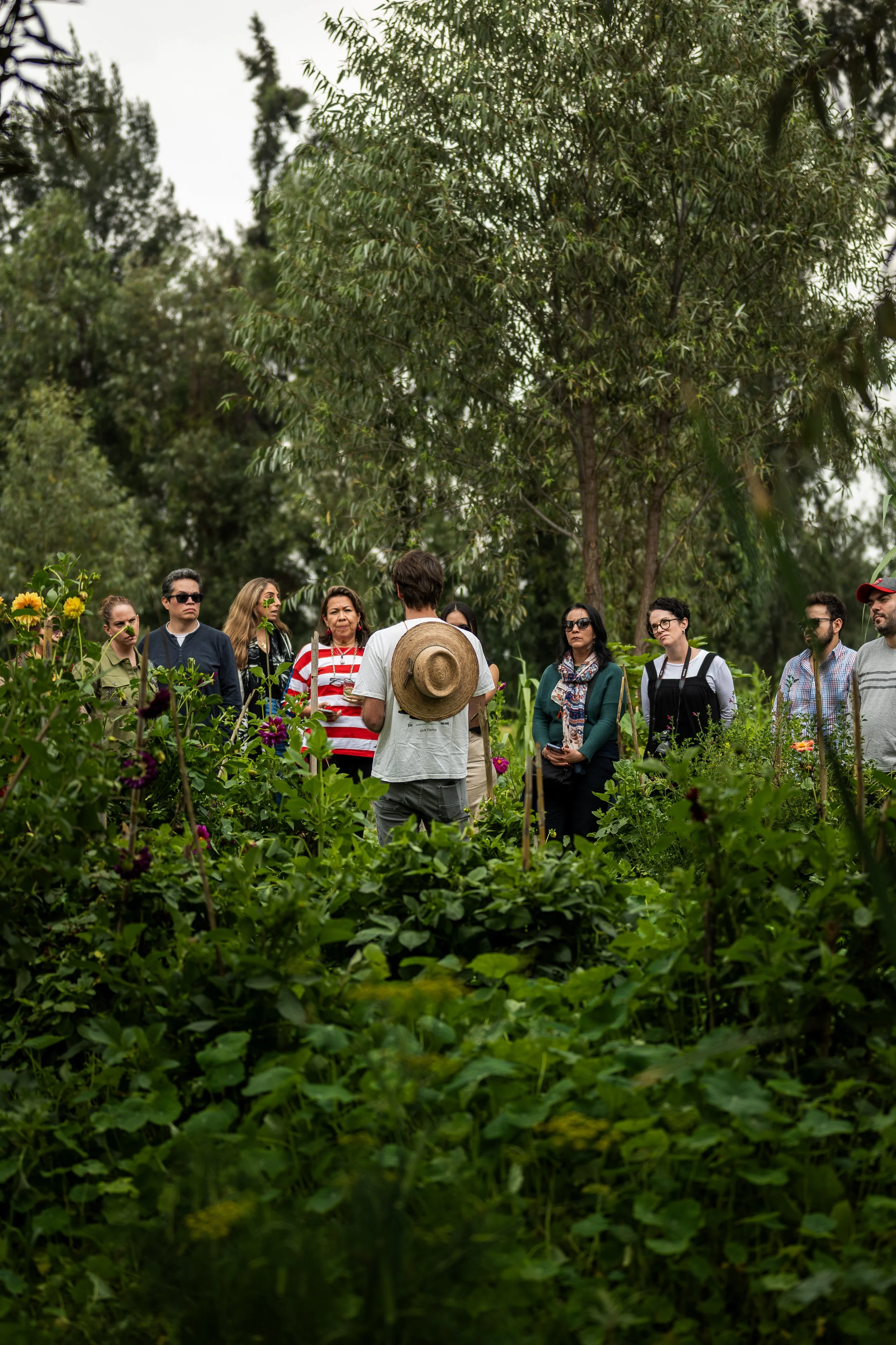 A group of people on a guided plant tour in a lush, green outdoor garden or farm, surrounded by various plants and flowers, with tall trees and an overcast sky in the background.