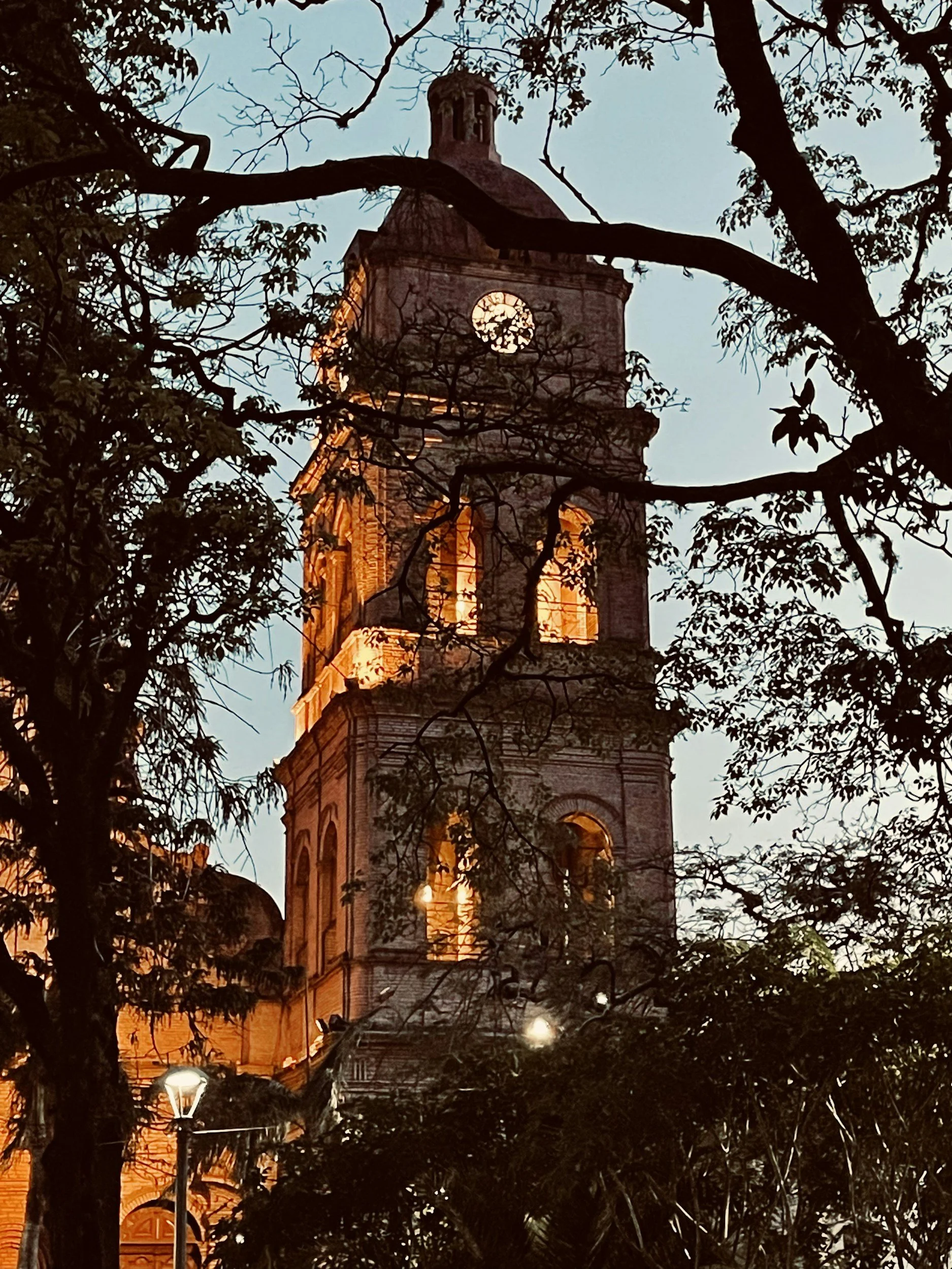 A tall clock tower illuminated at dusk, partially obscured by tree branches and leaves.