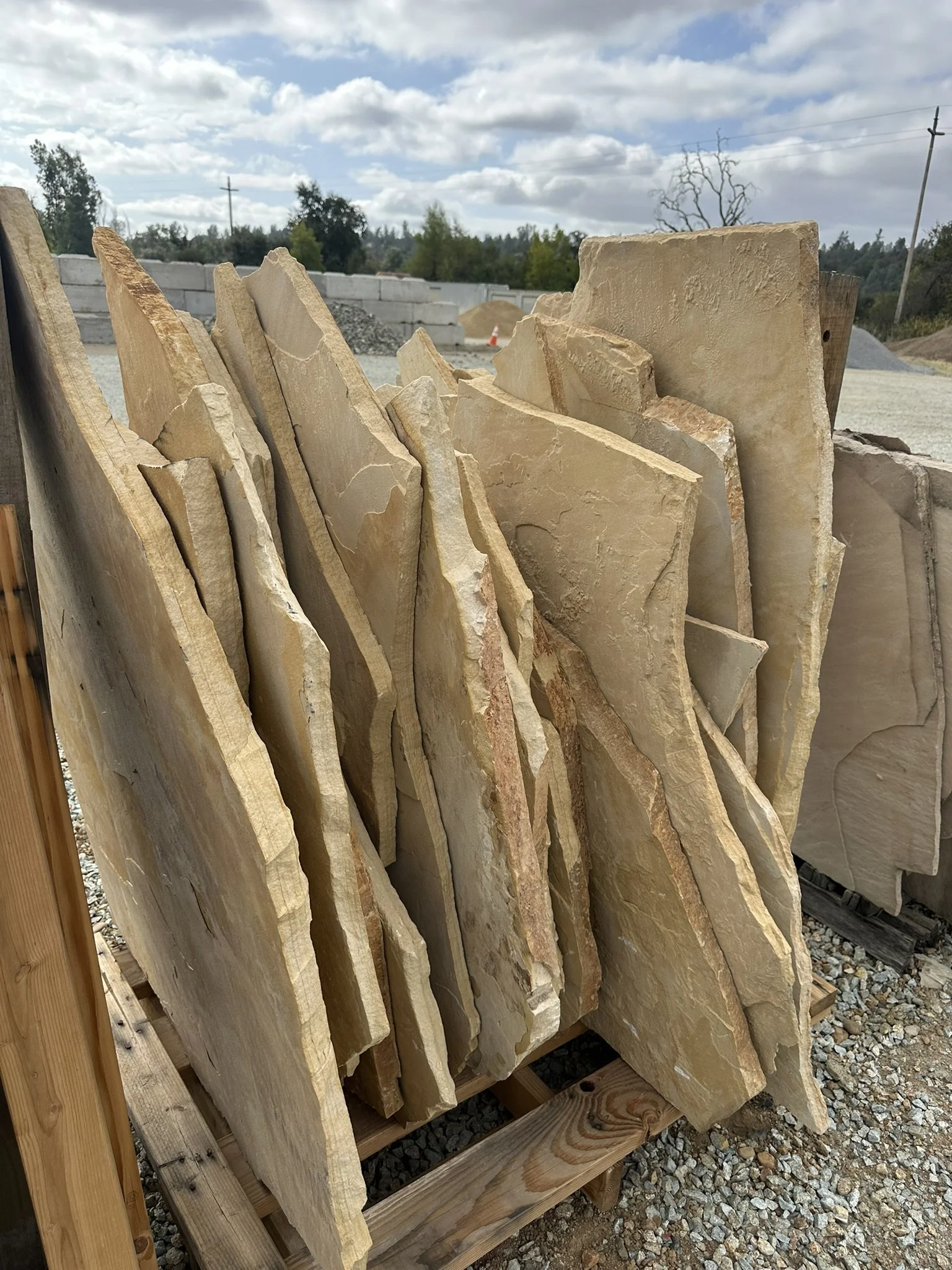 Arizona Sandstone Flagstone  "Tanglewood" Color sold per LB