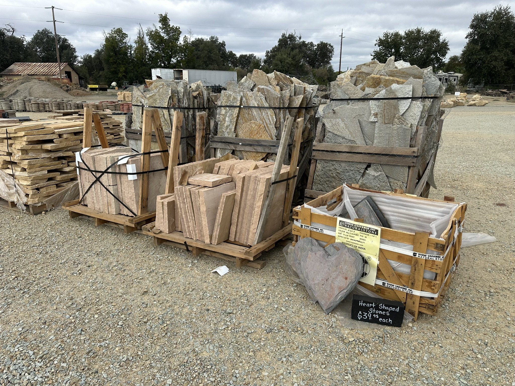 Snapped Natural Sandstone Stepstone Gold Quartzite Flagstone