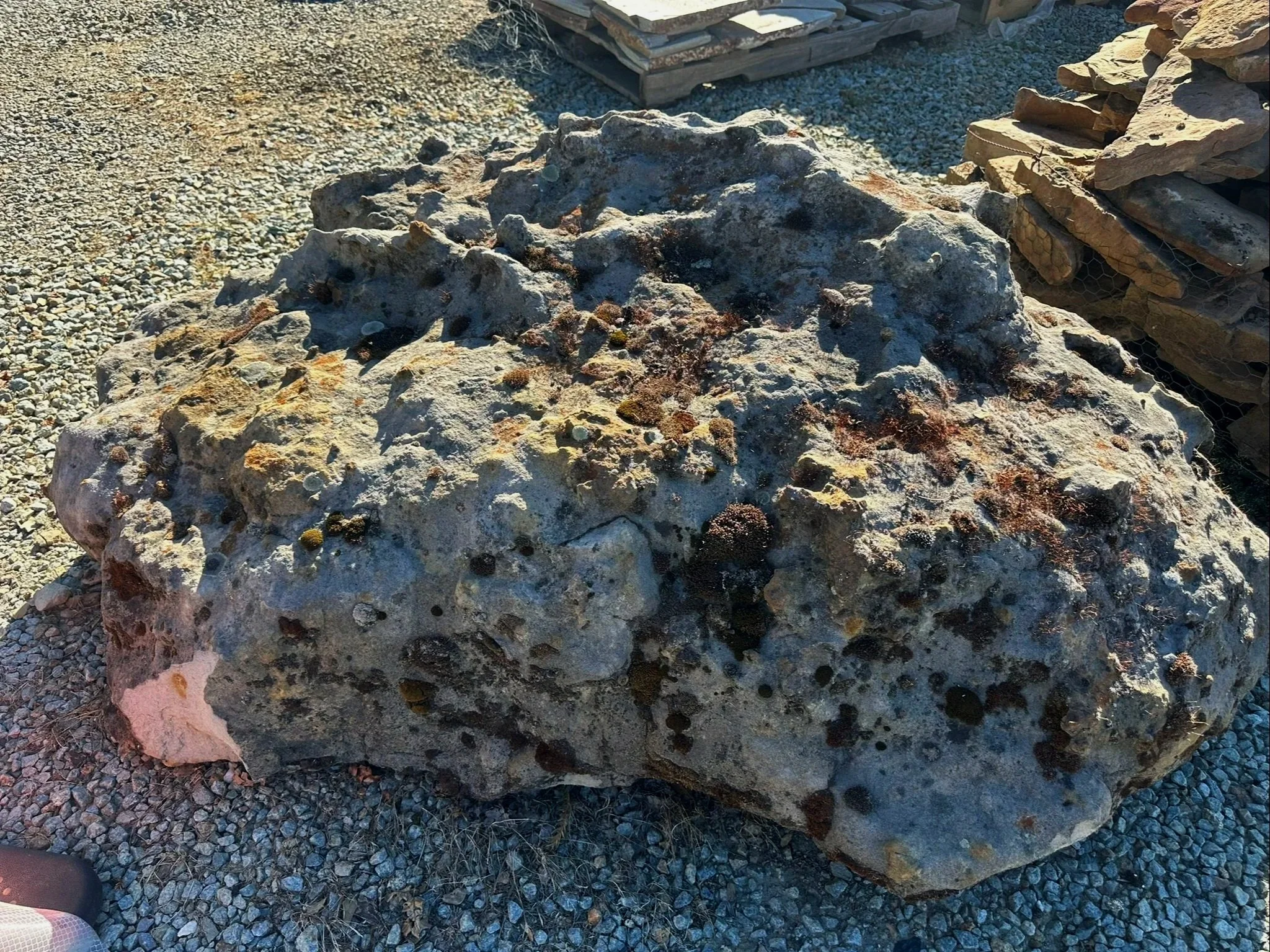 Wyoming Sandstone Lichens aged boulders add charm to my landscape