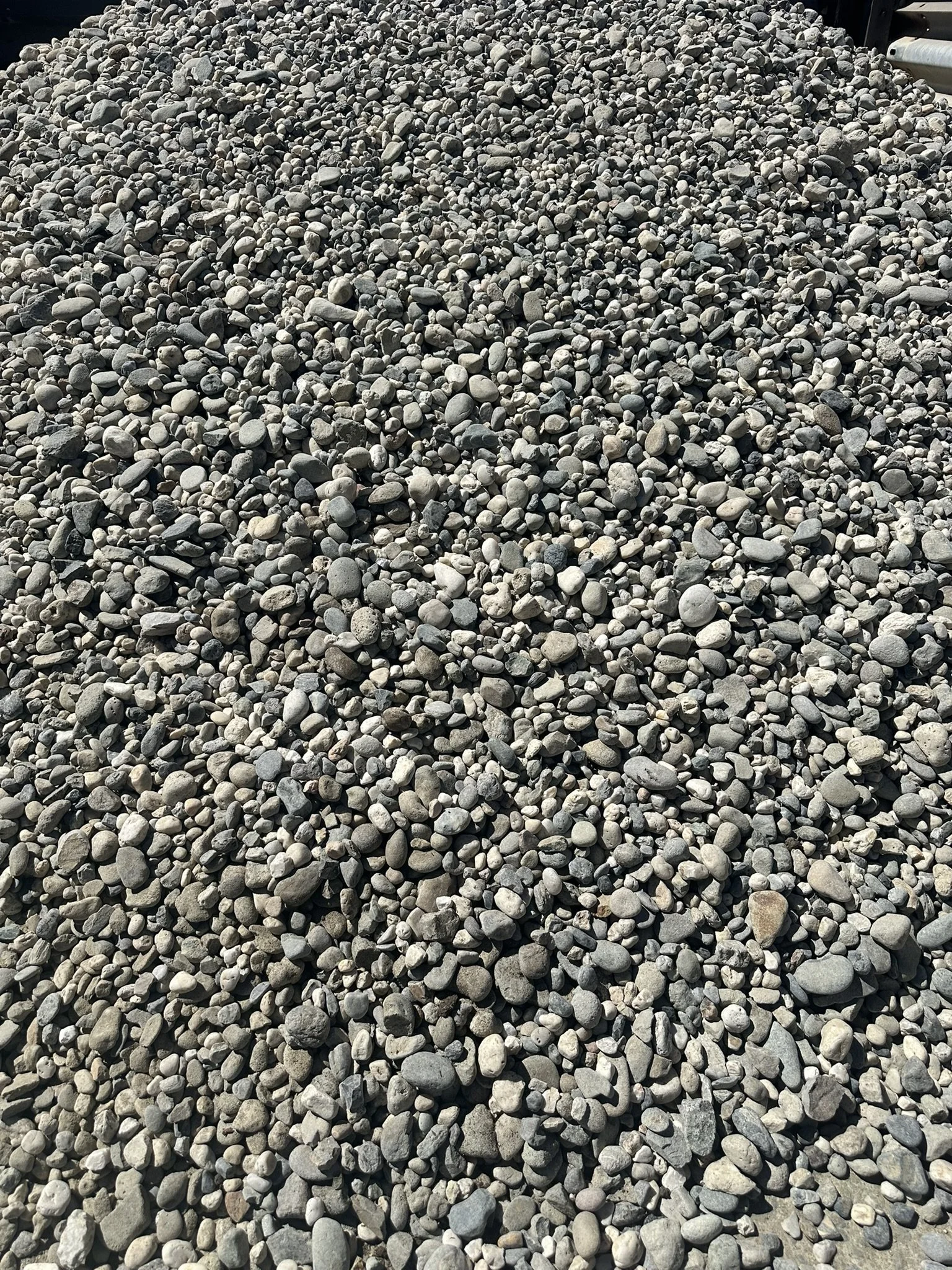 IMG_2322.JPEG