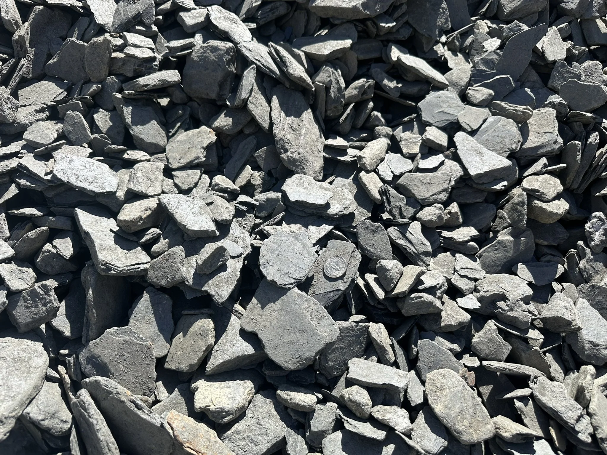 3" Black Slate Chip