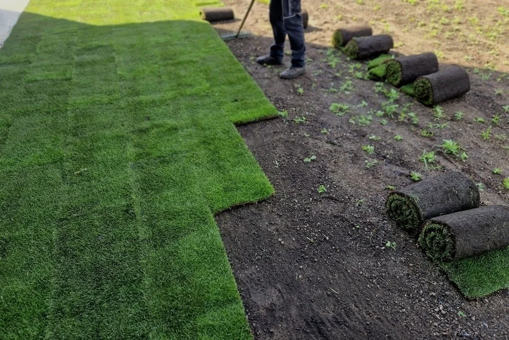 Bolero Plus Sod | From $0.82 per Sq Ft