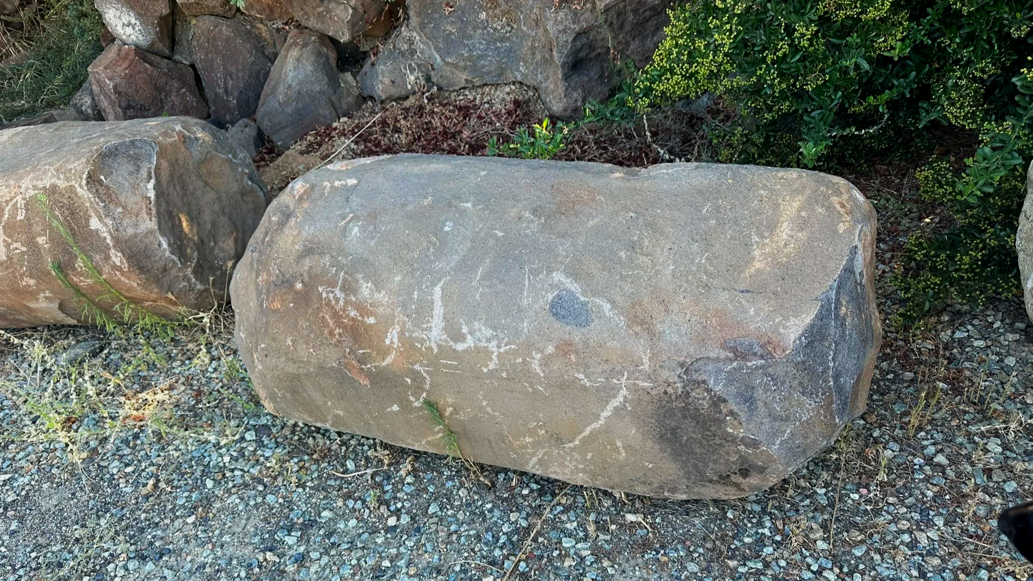 A large basalt column brownish-gray rock with white chalk-like markings and some smaller rocks and green plants around it, situated on a gravel surface with greenery and bushes in the background.