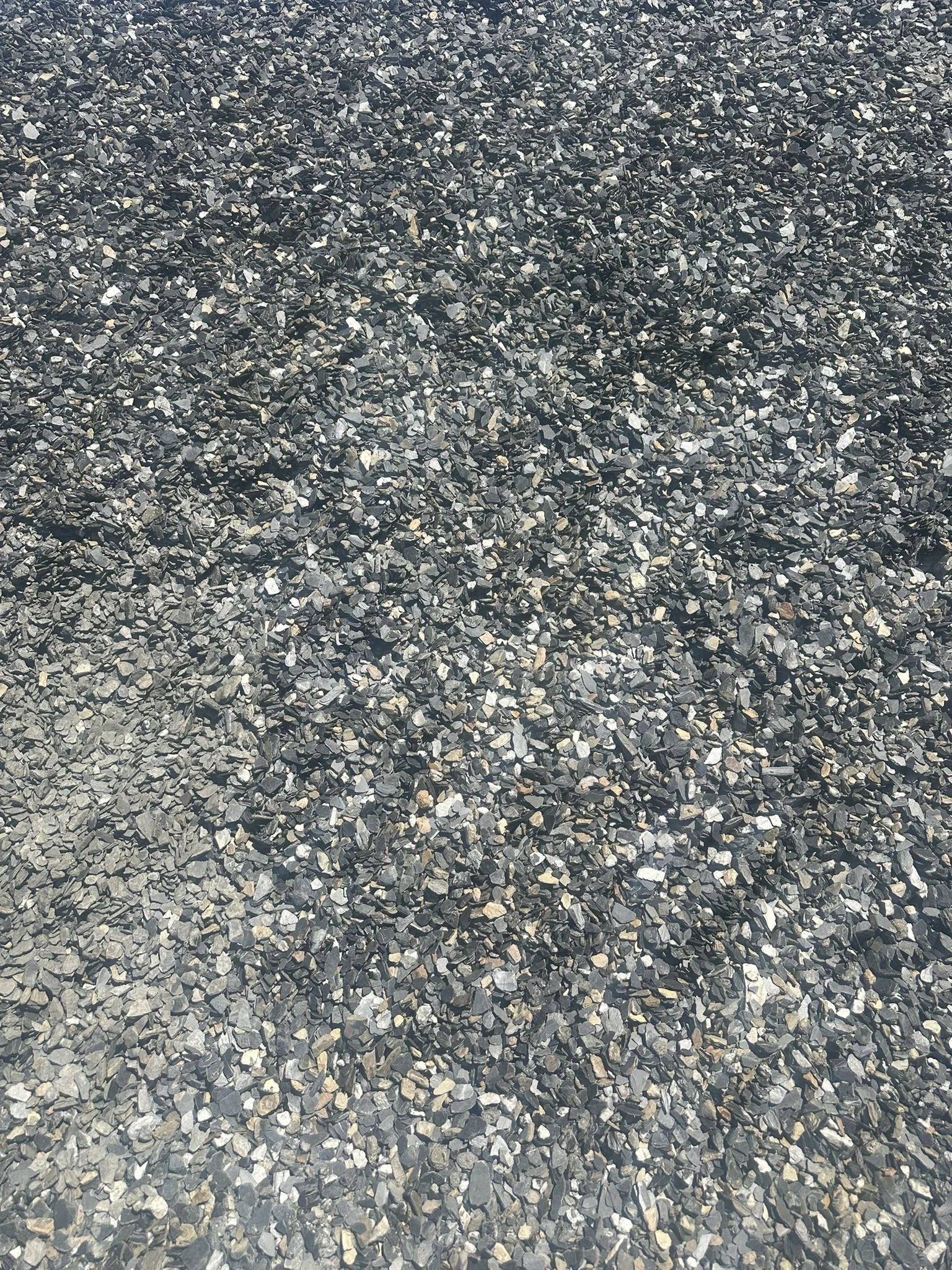 IMG_1596.JPEG