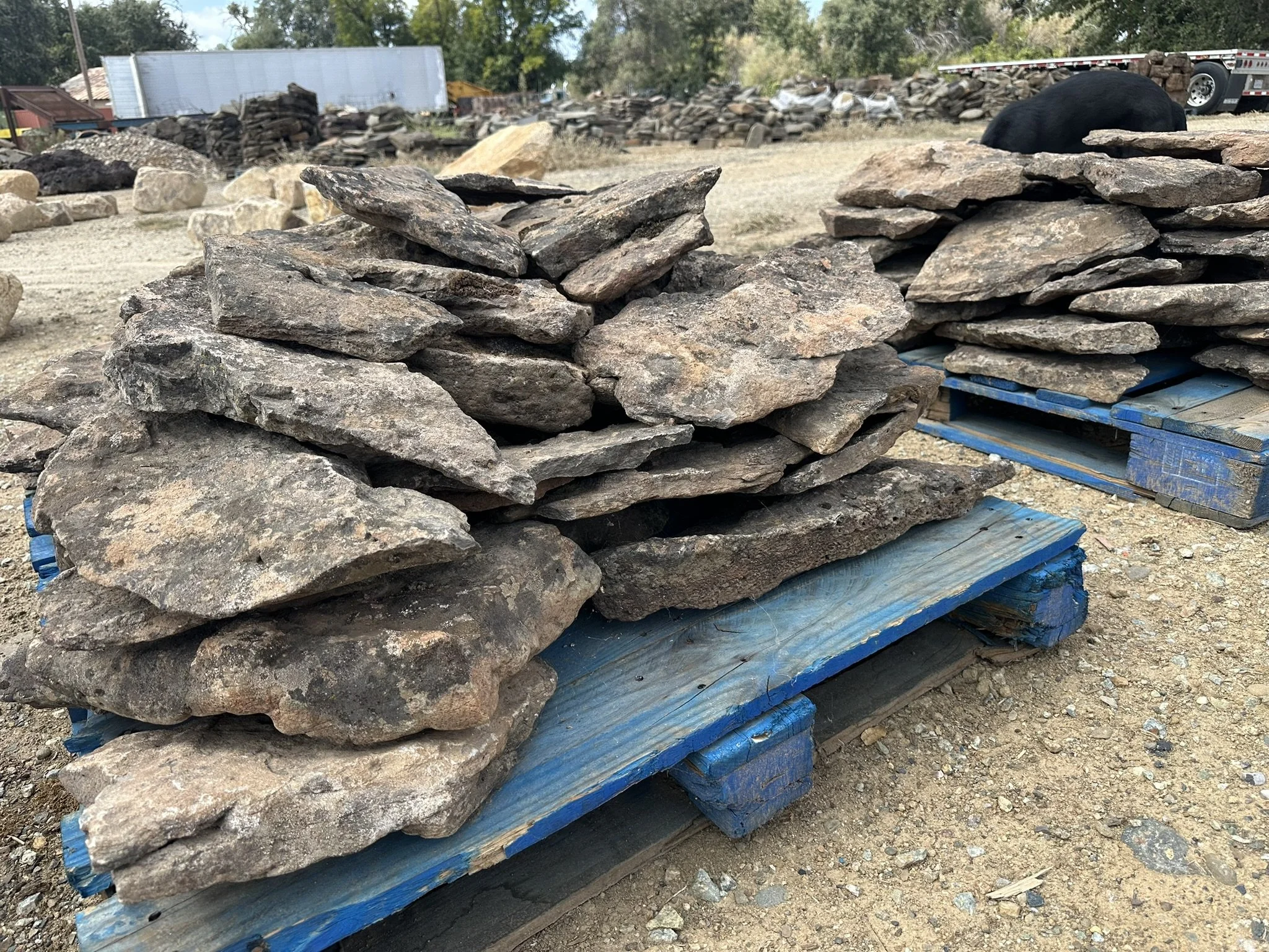 Cold Water Canyon Slabs sold per LB