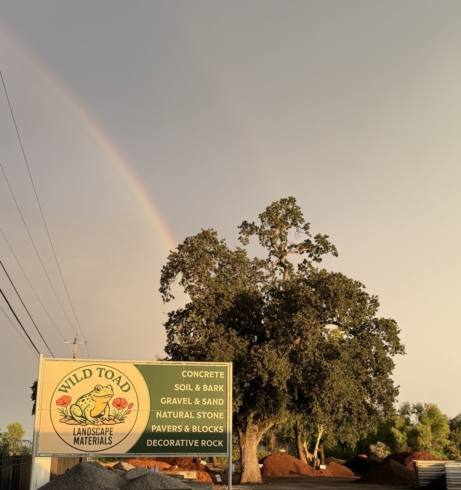A sign for Wild Toad Landscape Materials next to a large tree, with a rainbow in the sky.