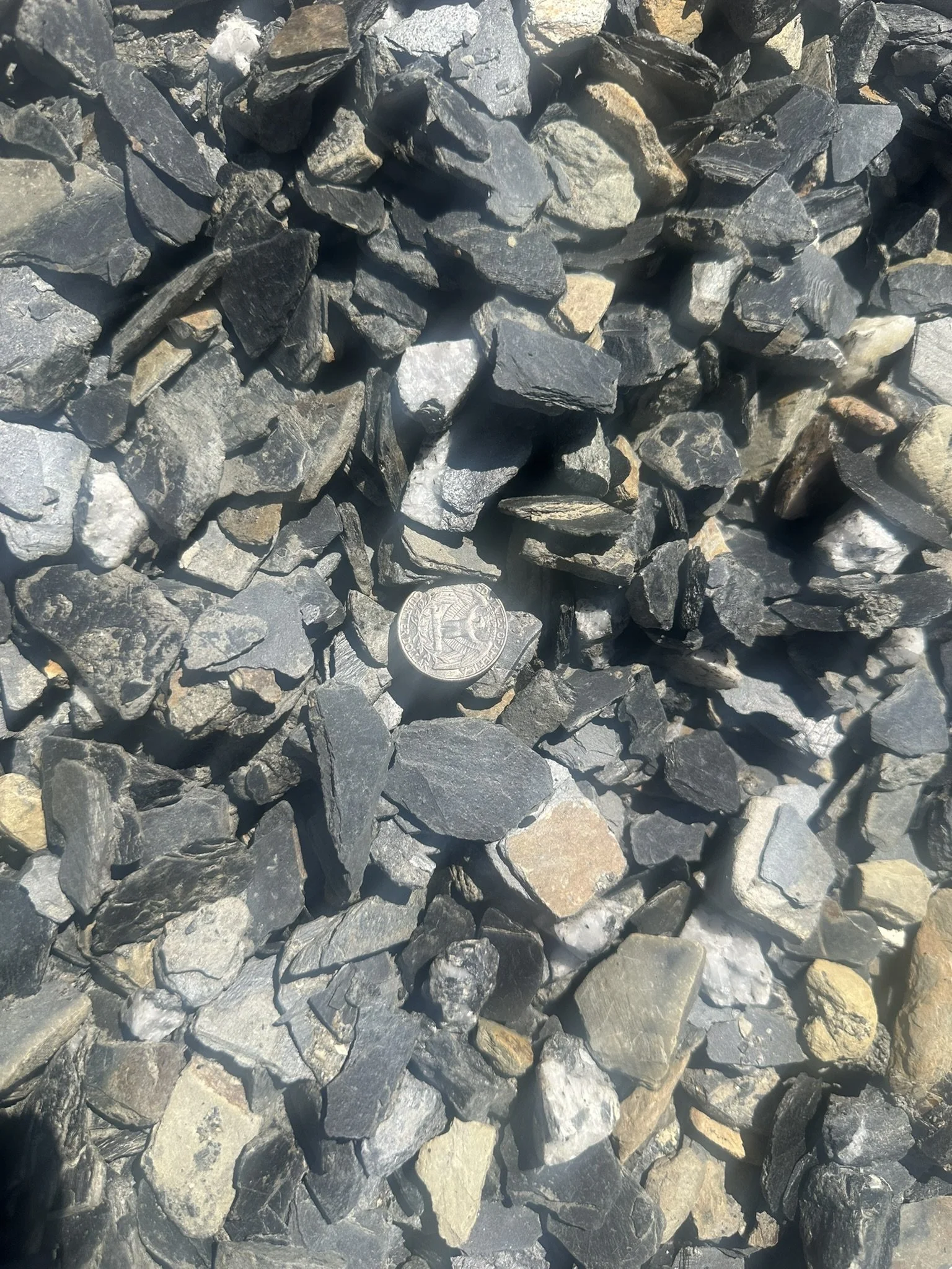 1" Black Slate Chip