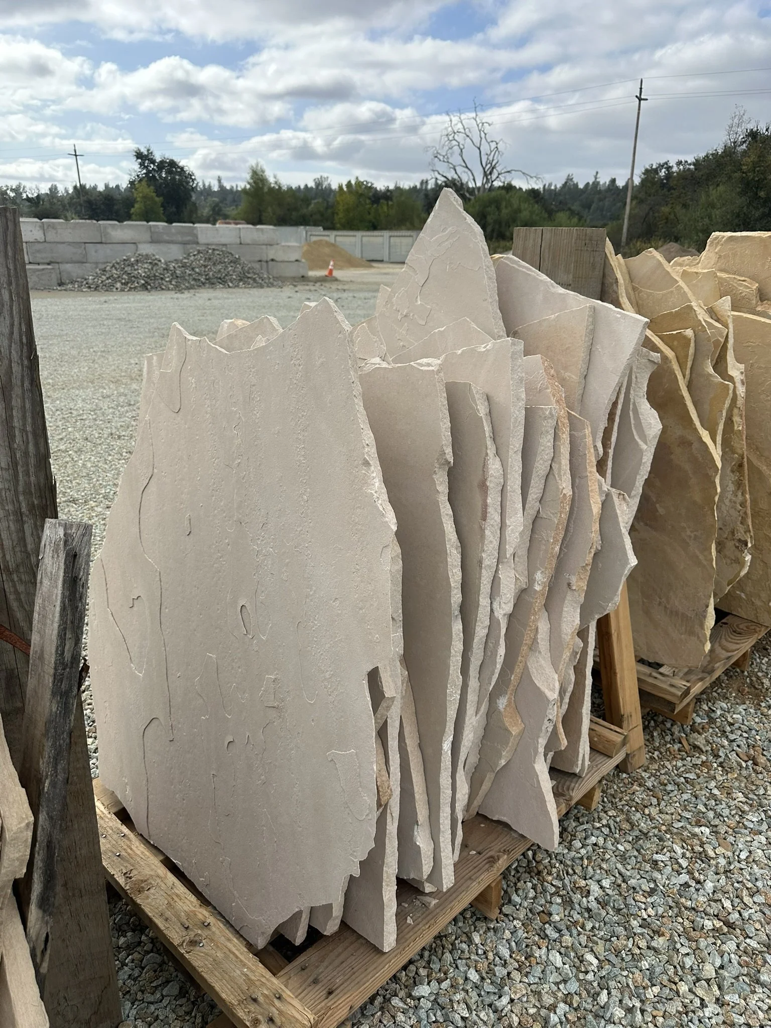 Arizona Sandstone Flagstone White "Sand Oak" Color sold per LB