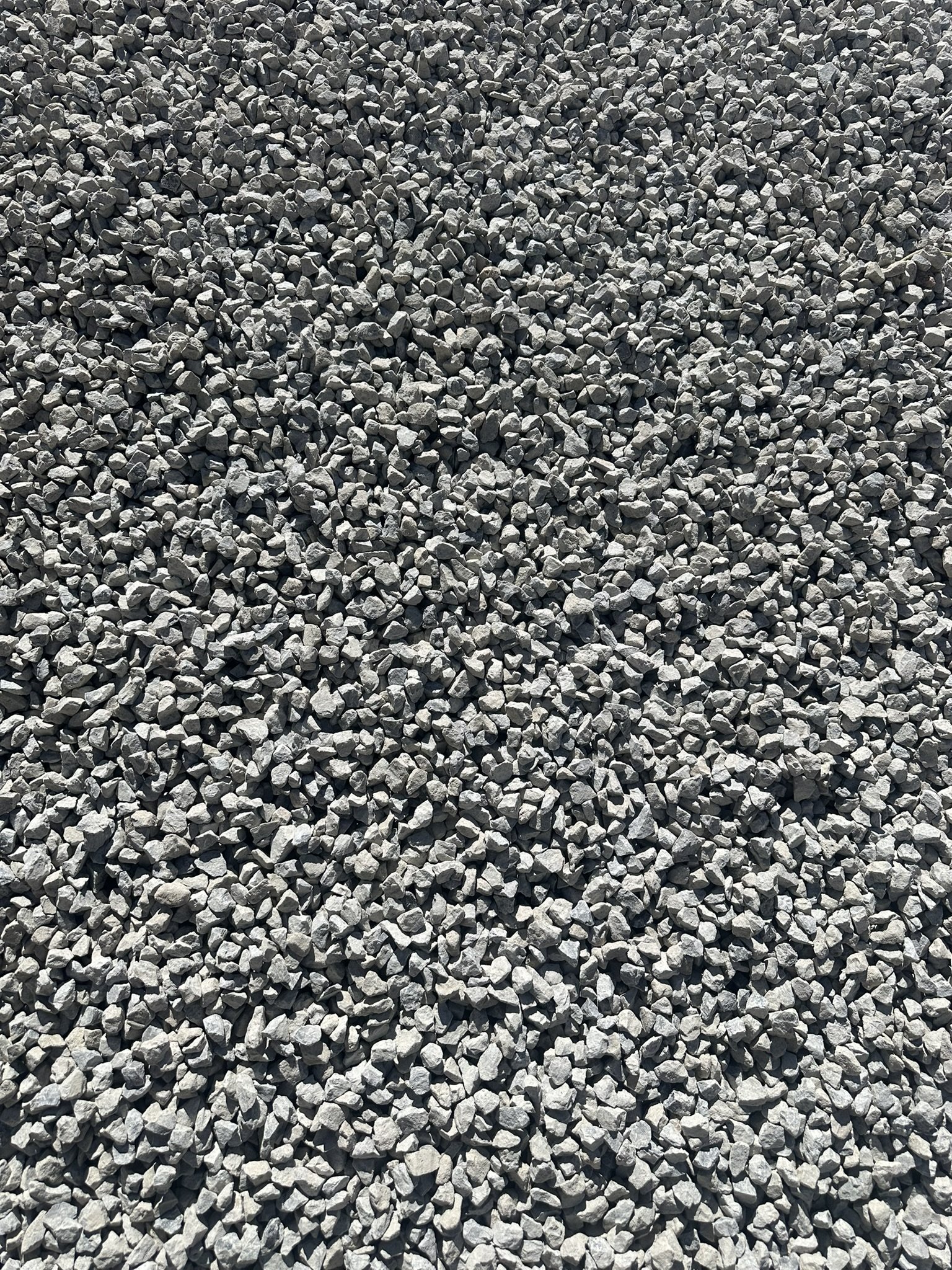 IMG_1608.JPEG