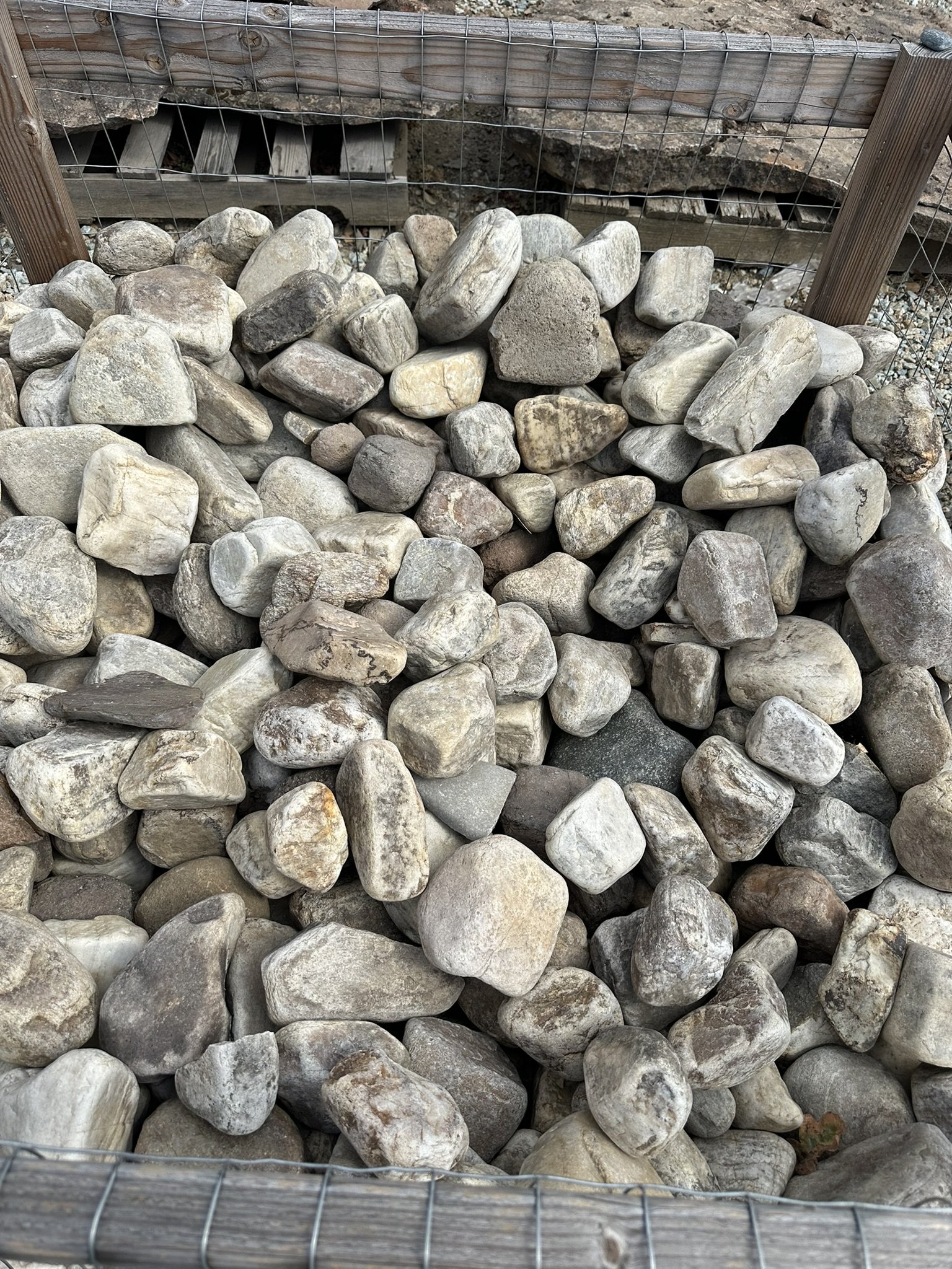 Salt Cobble 4" x8" sold per LB