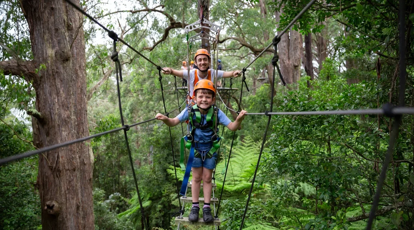 Illawarra-Fly-Hero Zip-line Tour.webp