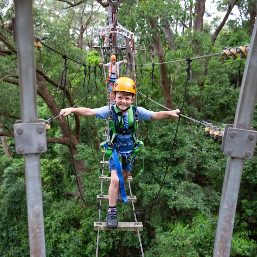 Illawarra-zip-tour-kids.webp