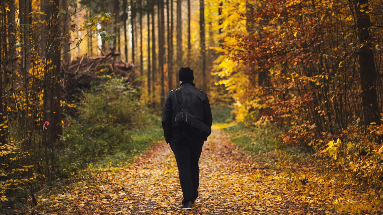 Person walking alone on an autumn trail surrounded by fall foliage.