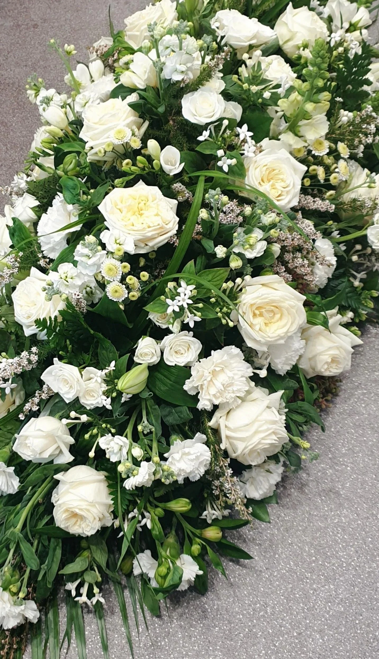 20190715_100816.jpg