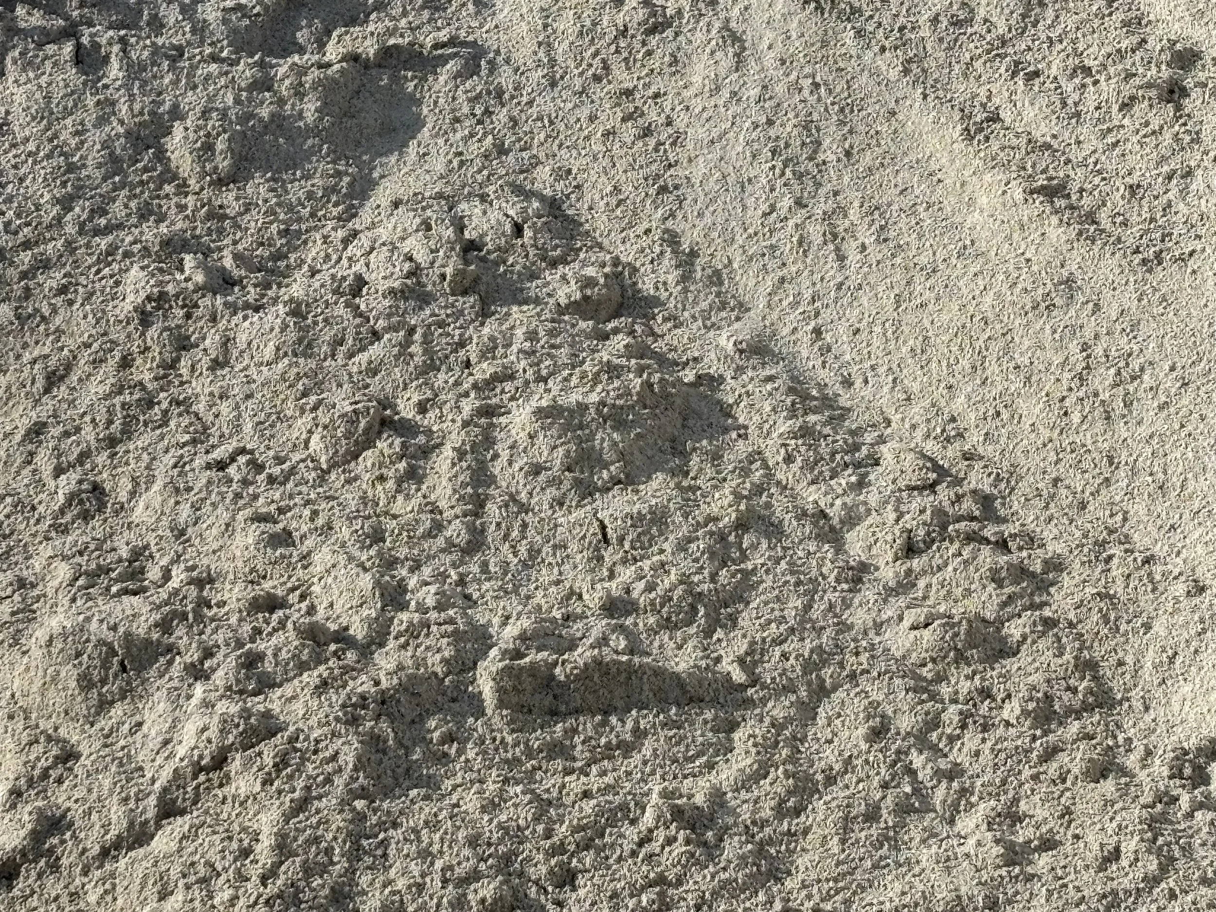 A crab drawn in the sand on a beach.