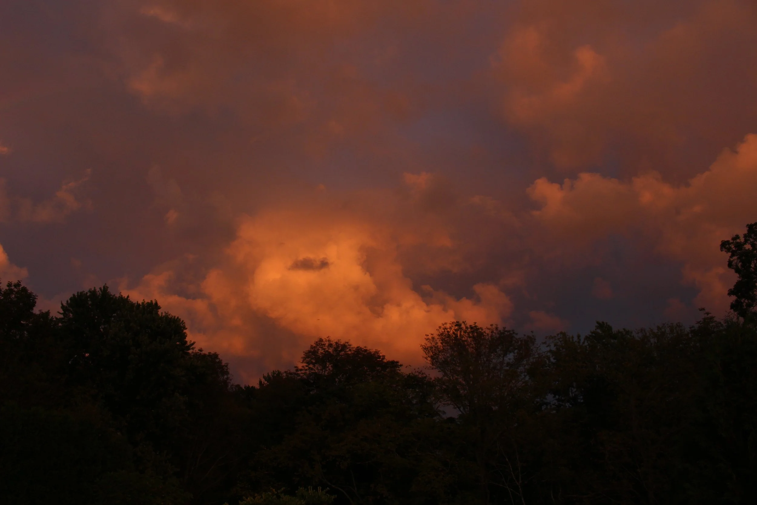 Cloudy sky during sunset with orange and purple hues above treetops.