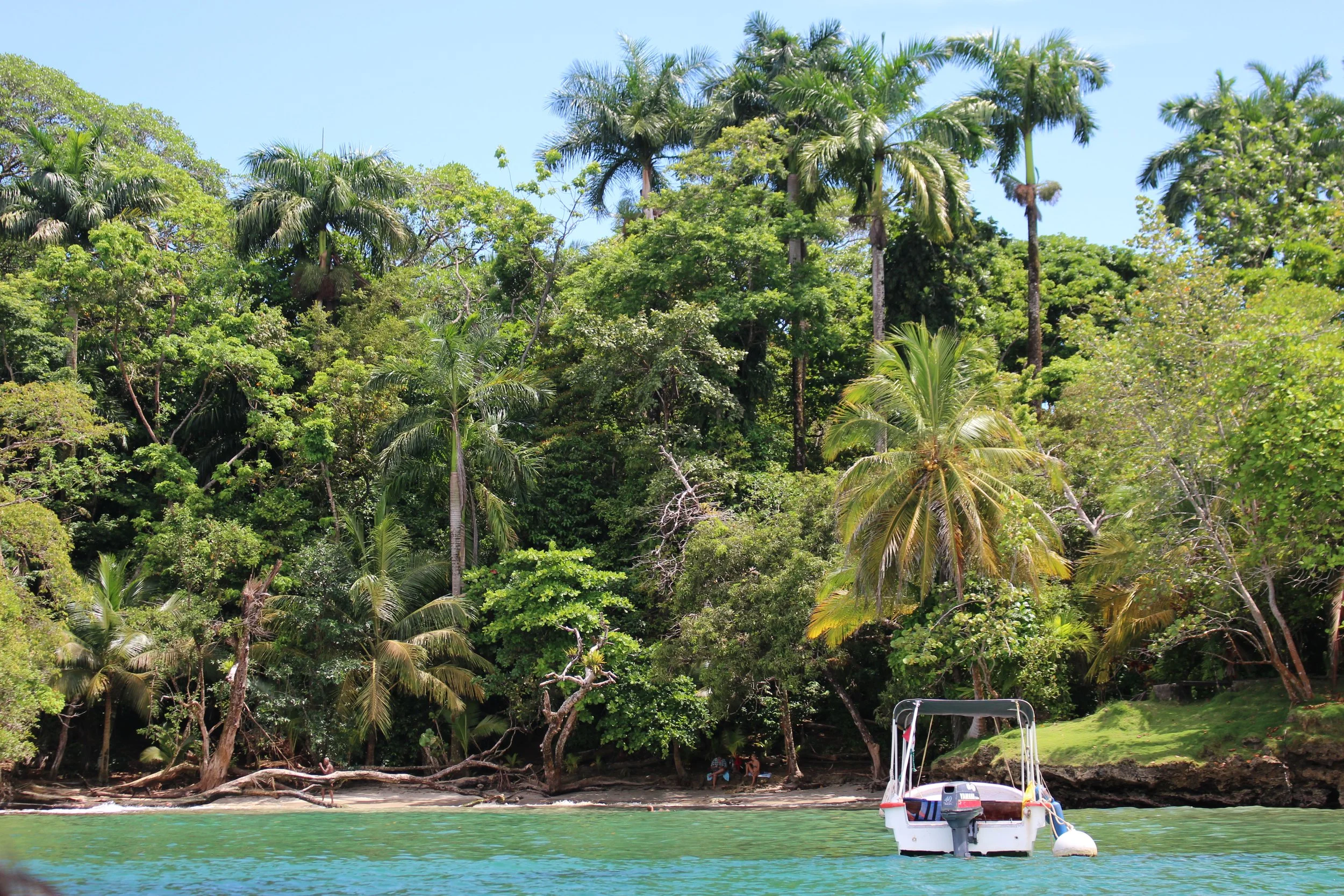 A tropical beach scene with lush green trees and tall palm trees along the shoreline. There is a small white boat with an outboard motor floating in the turquoise water close to the shore. The sky is clear and blue.
