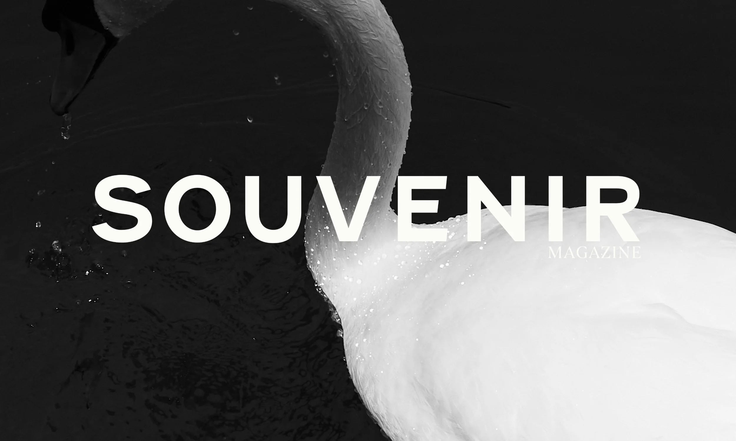 SOUVENIR 3.jpg
