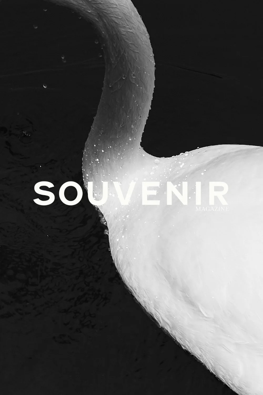 SOUVENIR vertical 3.jpg