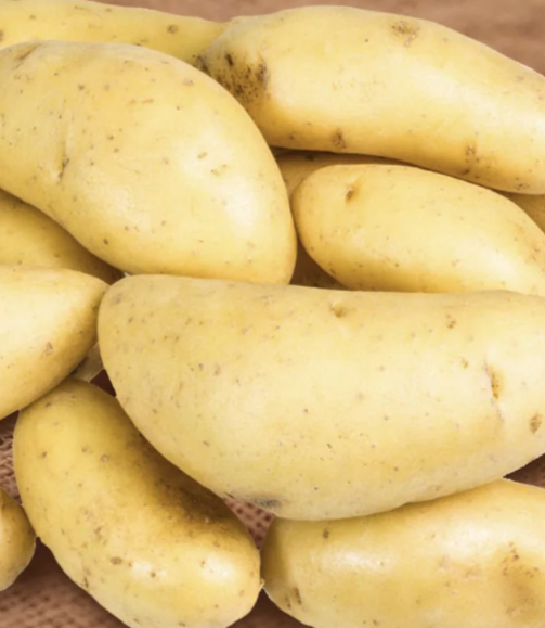 Collection of yellow potatoes on a wooden surface.