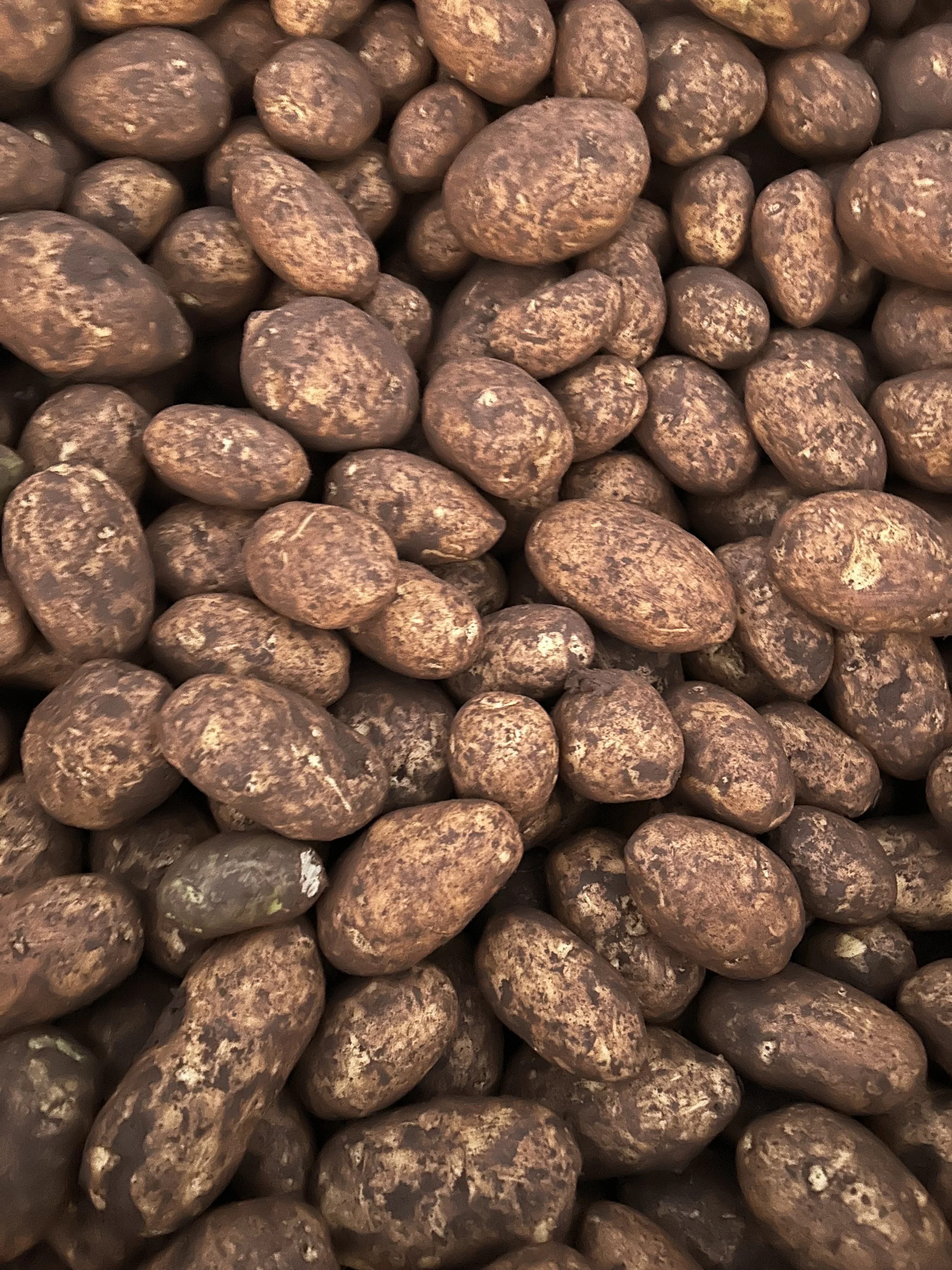 Close-up of smooth, rounded brown pebbles with speckled patterns.