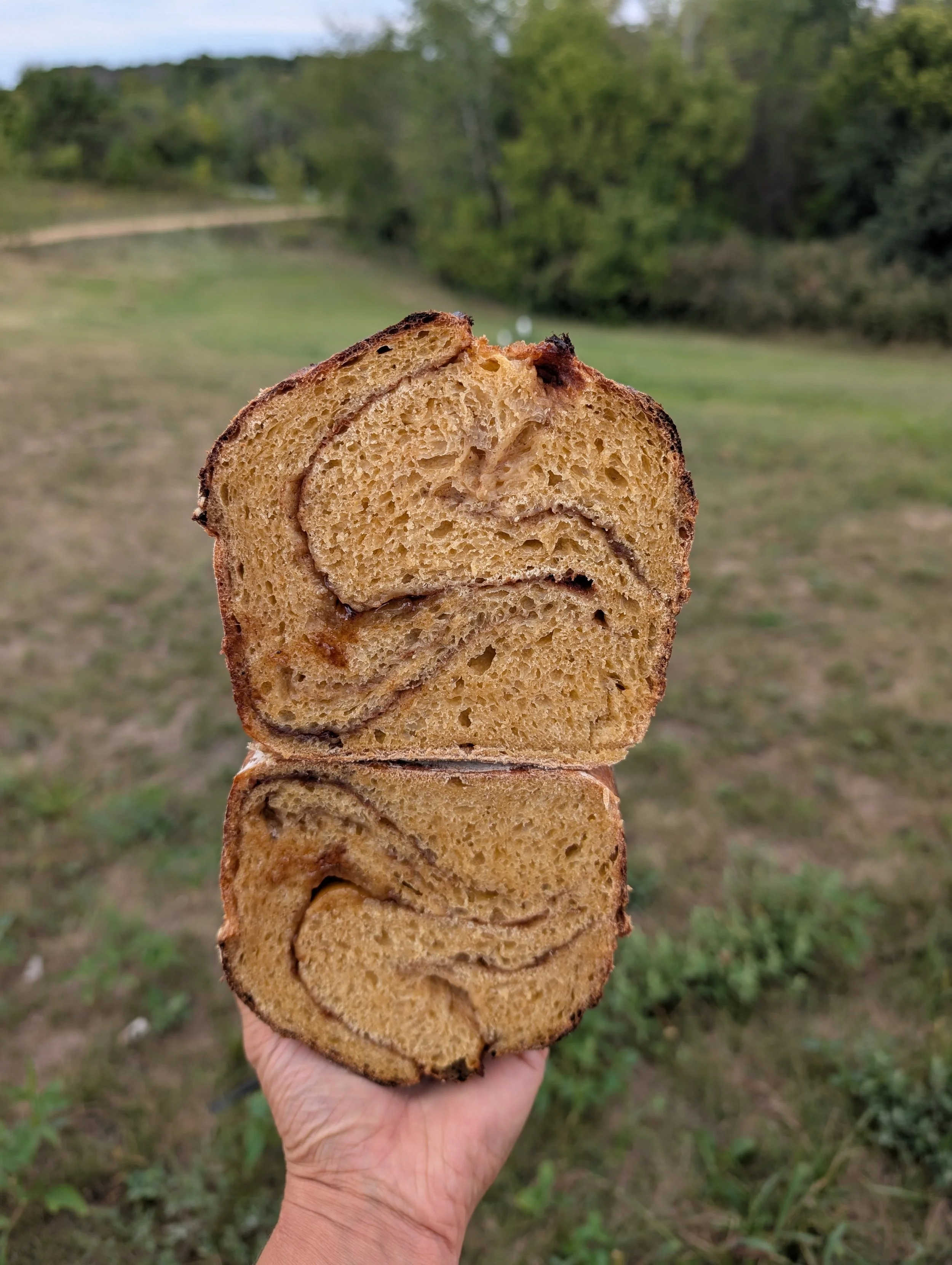 Sourdough Pumpkin Spice Loaf