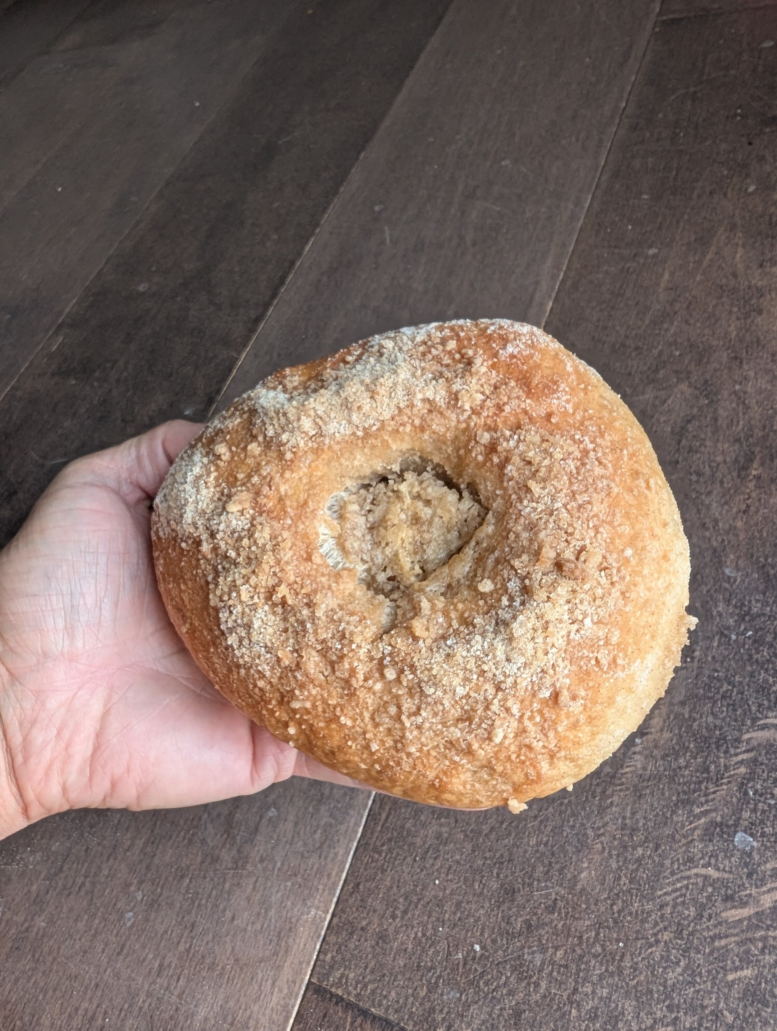 cinnamonsugarbagel.jpg