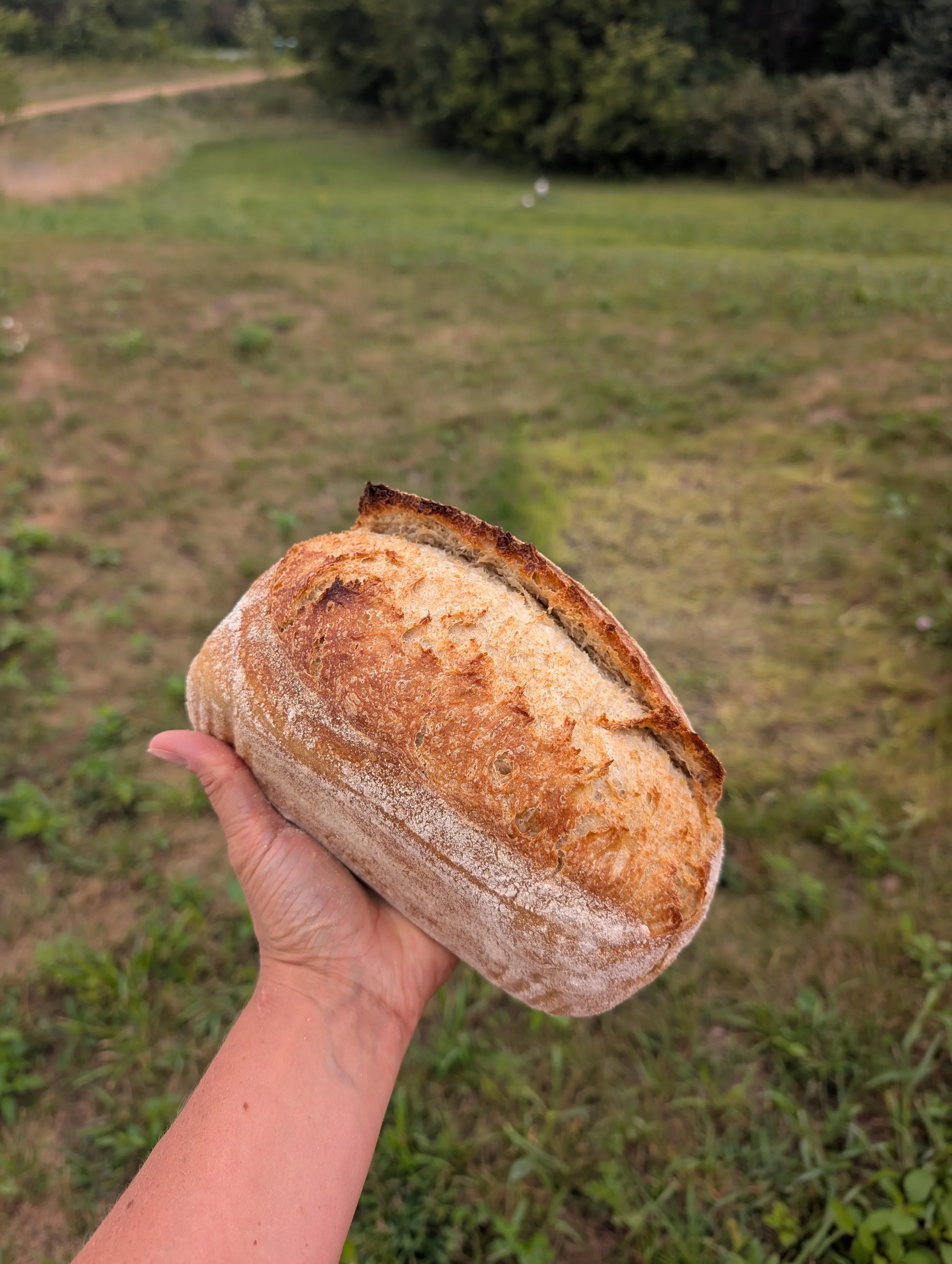 classicloaf.jpg