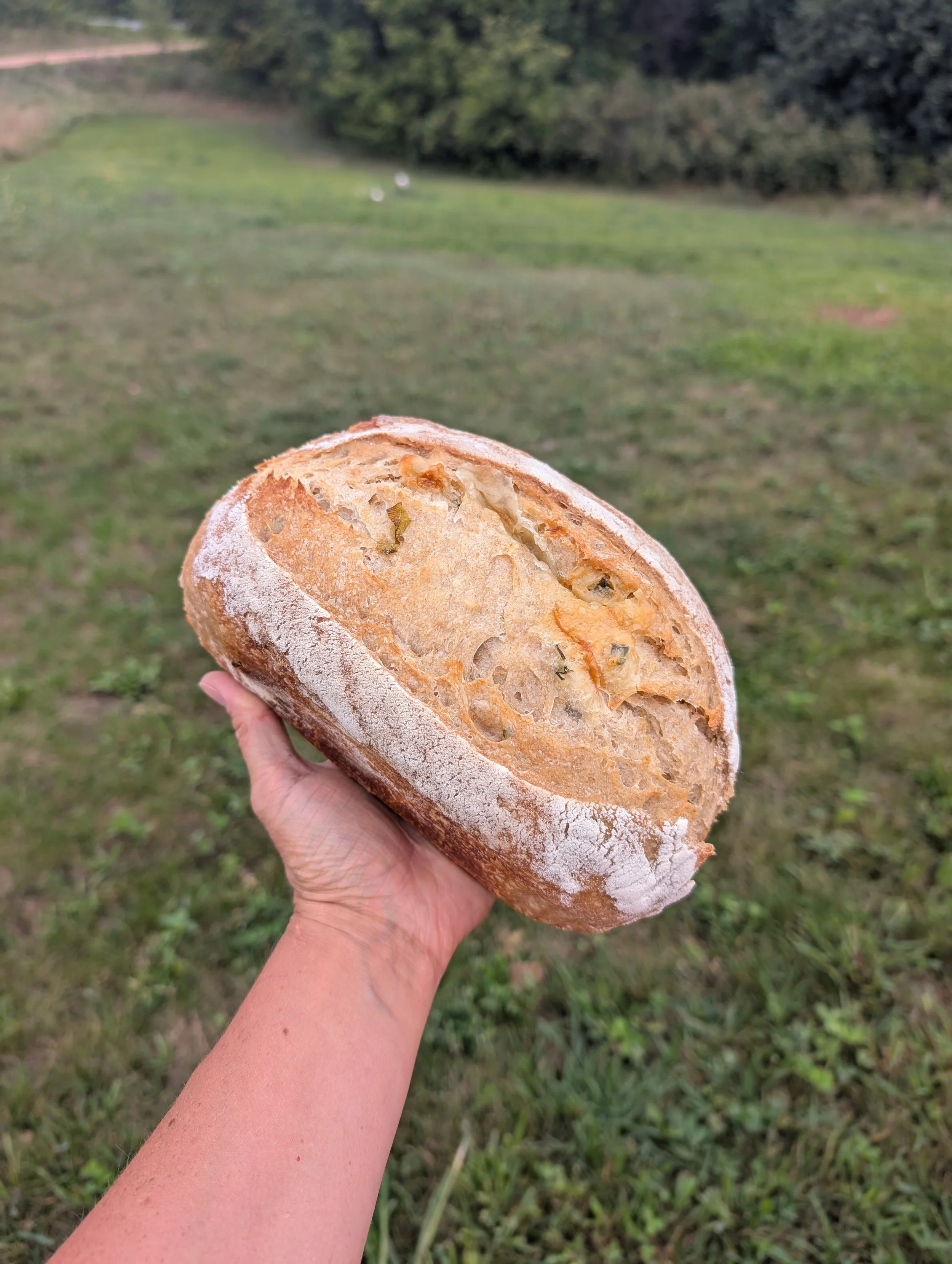 cheddarsourcreamonionloaf.jpg