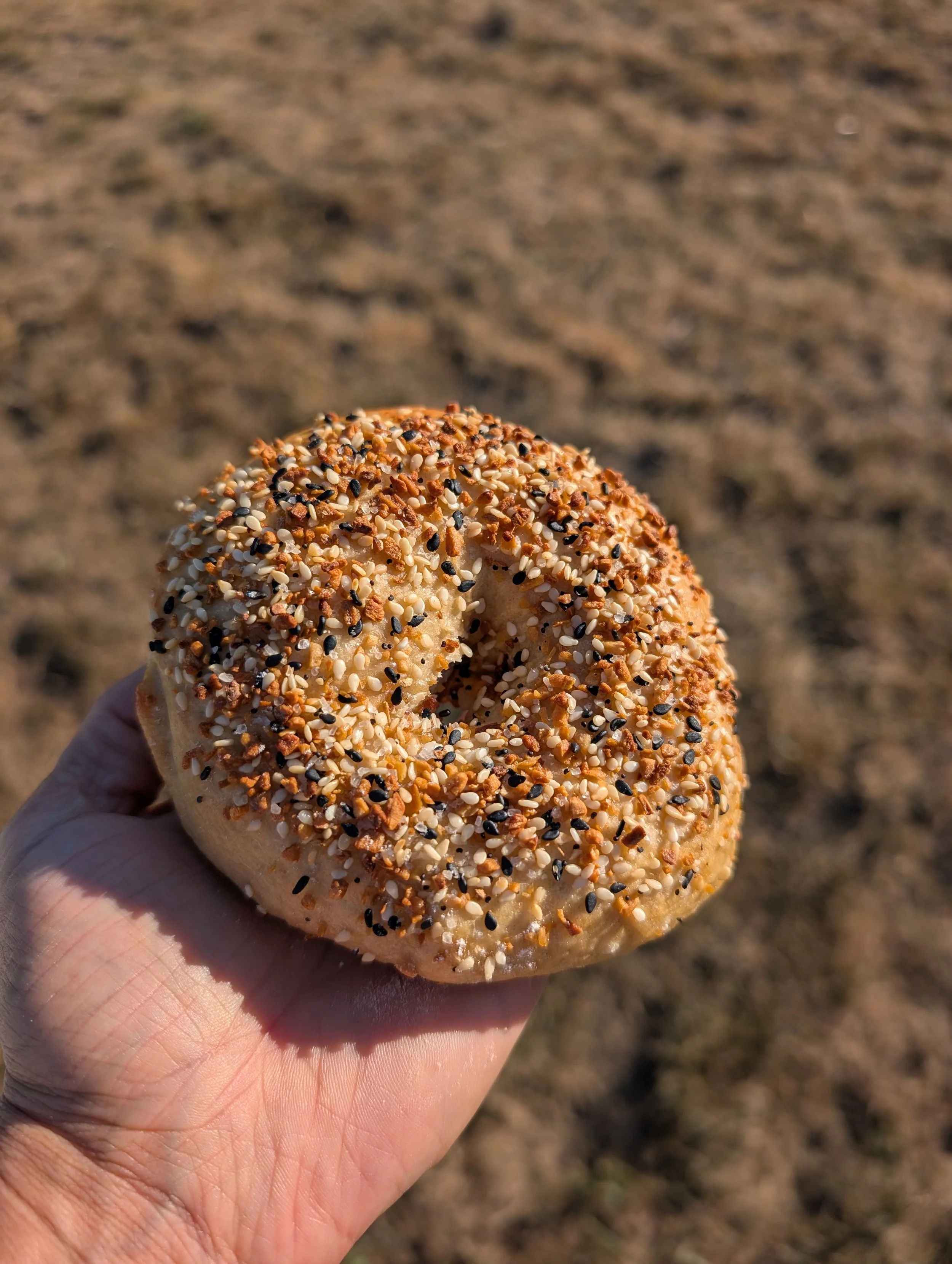 everythingbagel.jpg