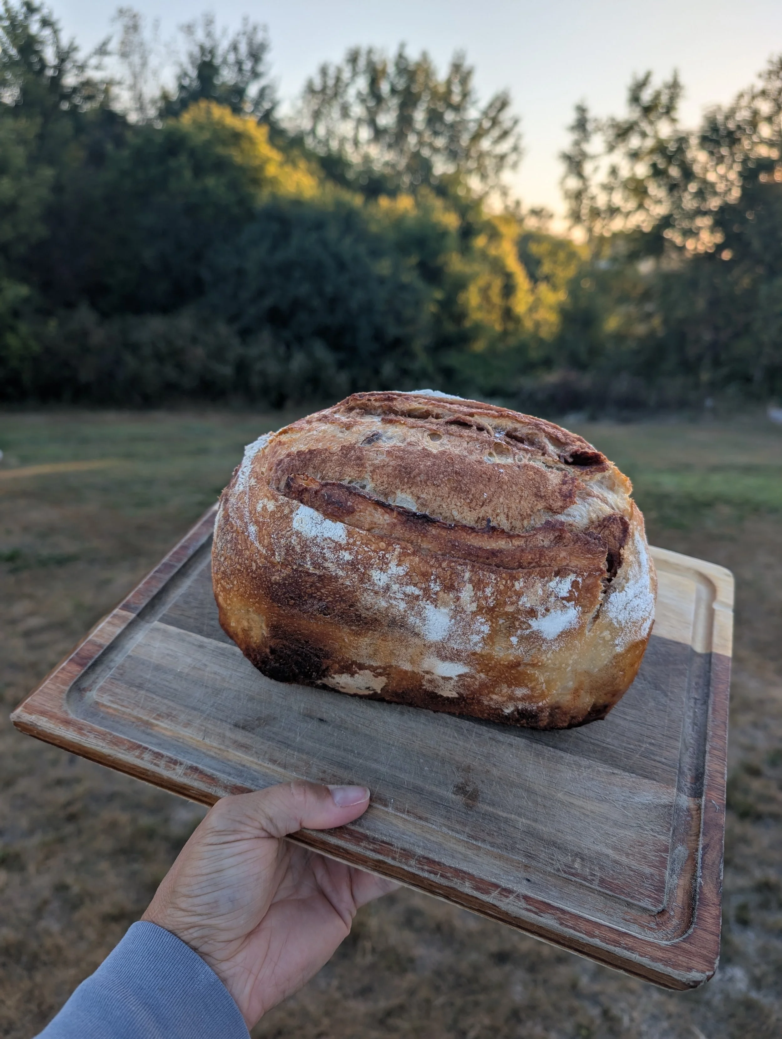 Sourdough Cinnamon Sugar Loaf