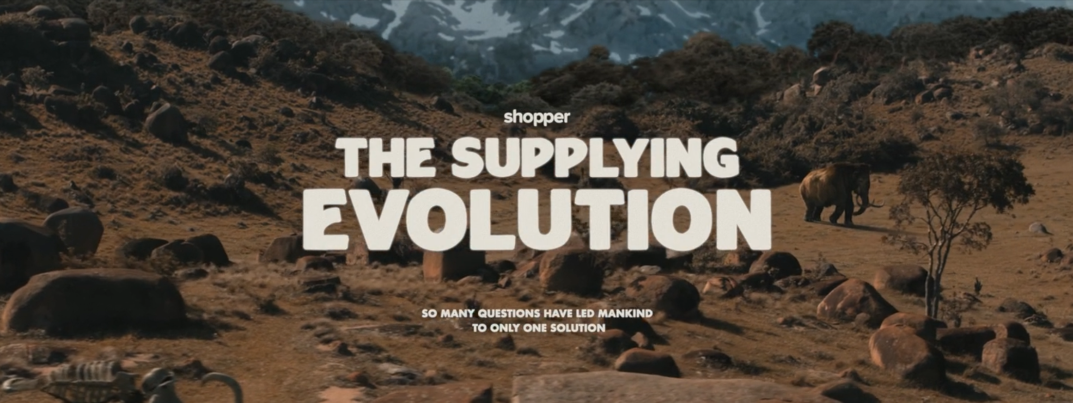 Shopper - "The Supplying Evolution"