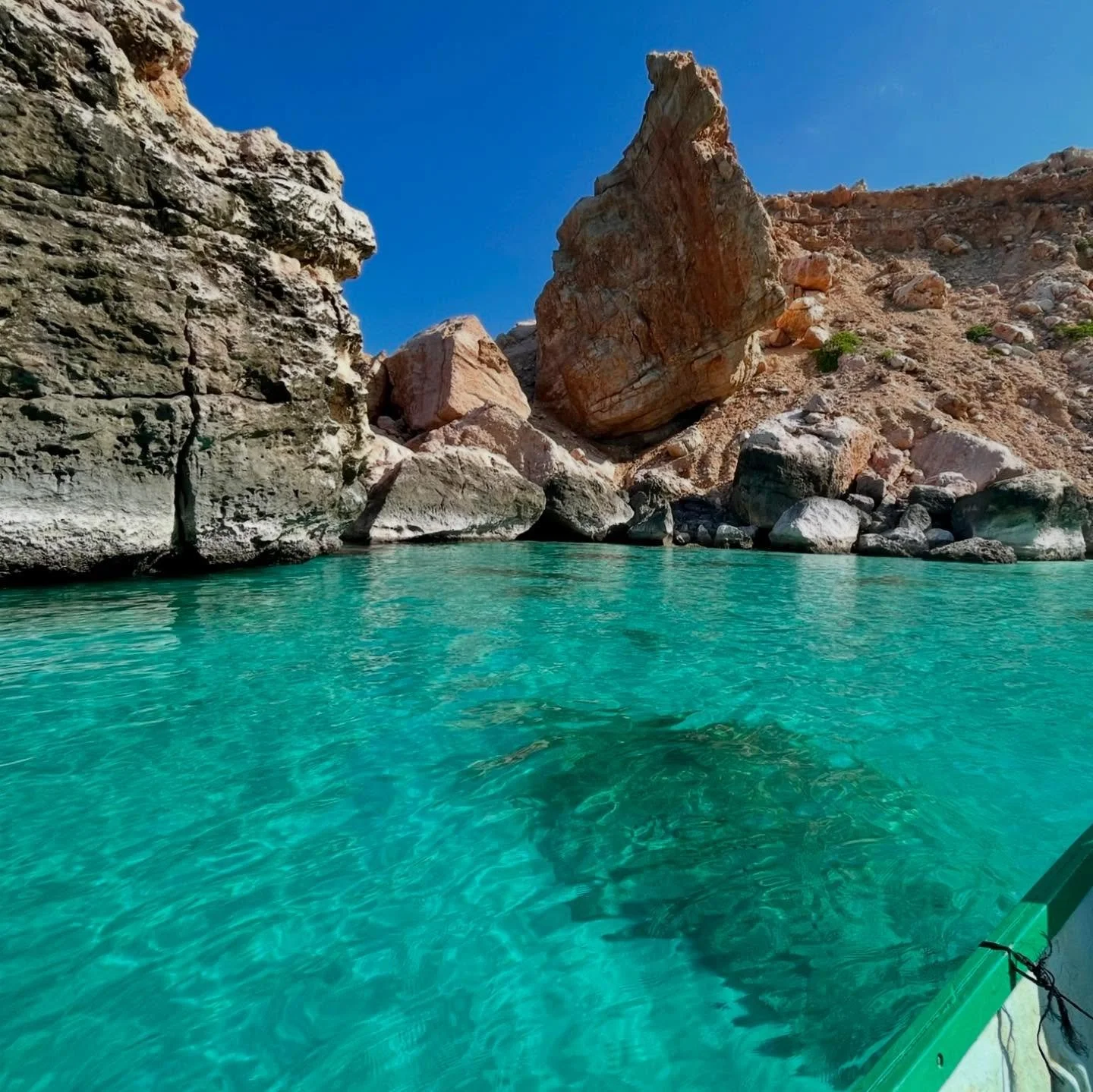 This is Socotra. Where you can spot stingrays without even diving in. 

No crowds. No noise. Just nature at its purest.

🛶 Want to explore this hidden gem?
✉️ DM us to join our next trip.

#SocotraBlu #SocotraIsland #HiddenParadise #BlueWaterDreams 