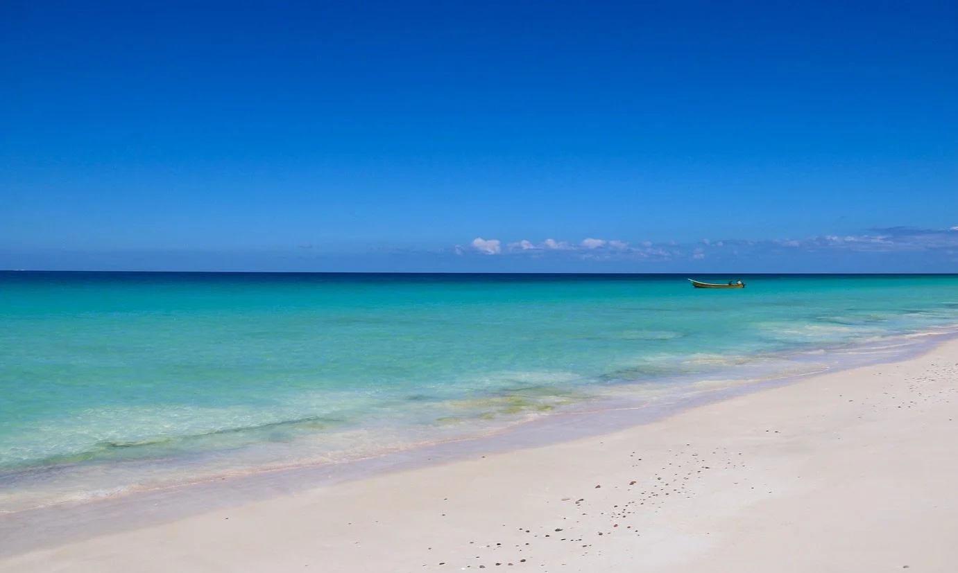 Discover Socotra, your way. ✨
From untouched turquoise shores to golden sand dunes and mountains, every journey with Socotra Blu is crafted just for YOU.

Unlike one-size-fits-all tours, we design tailor-made private trips that let you connect with t